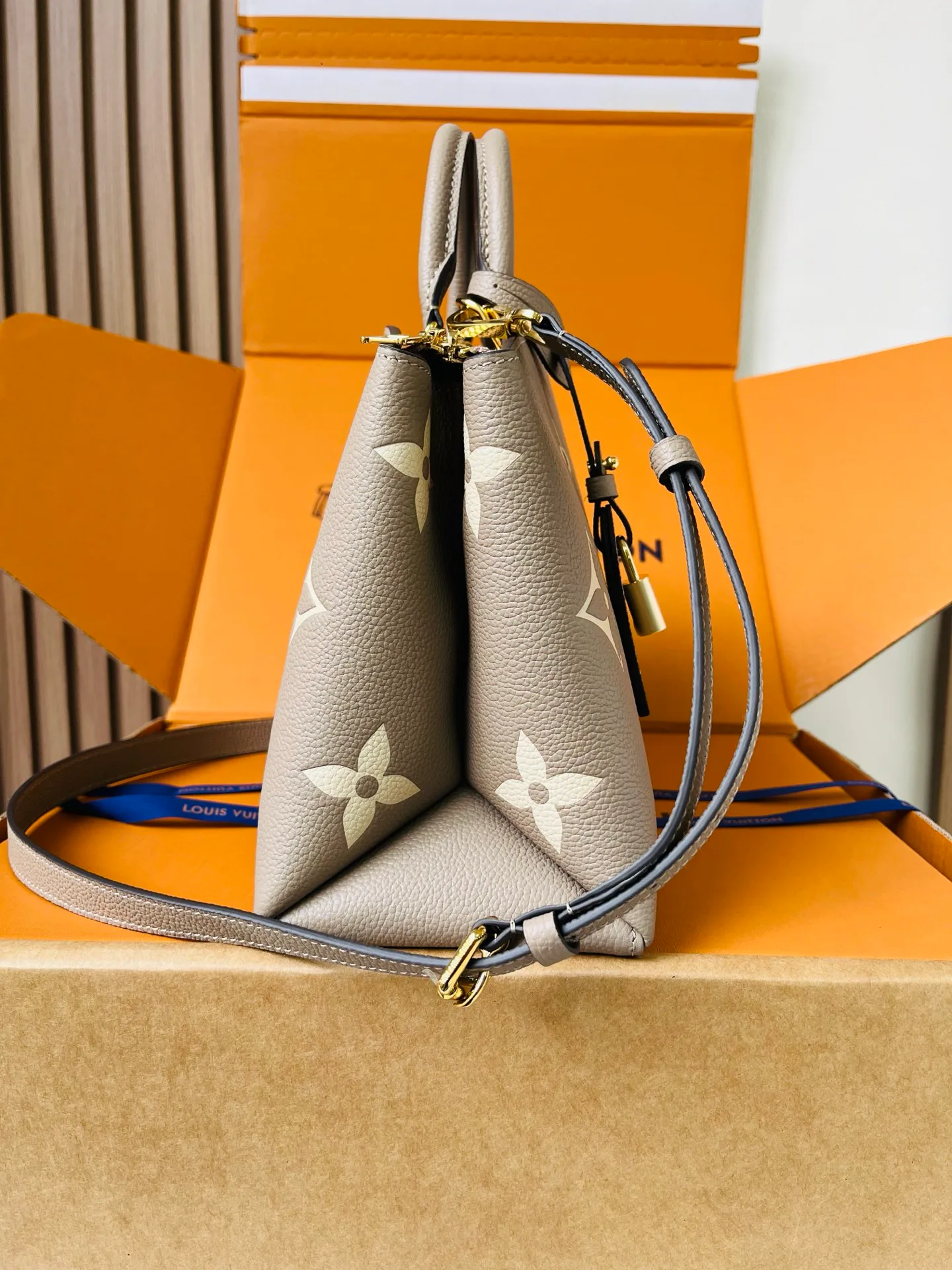 Классические Сумки Женские Louis Vuitton 12569317