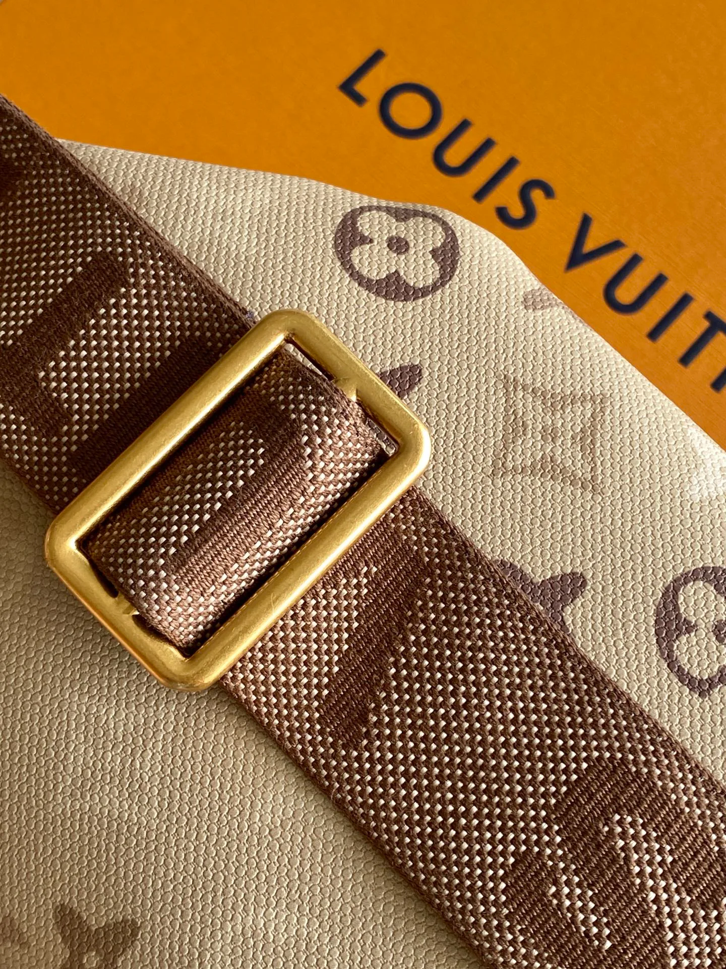 Поясные Сумки Мужские Louis Vuitton 15214846