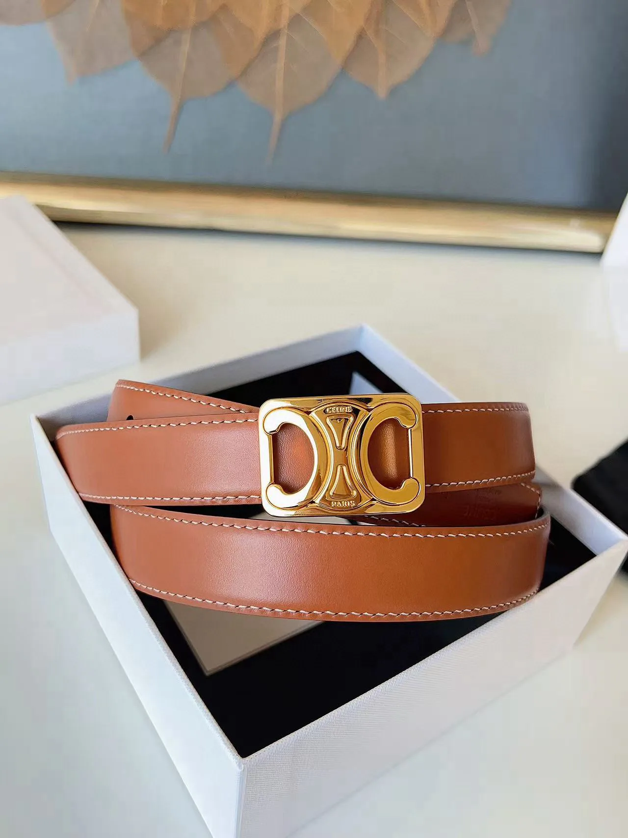 Поясные Сумки Женские Celine 11886351