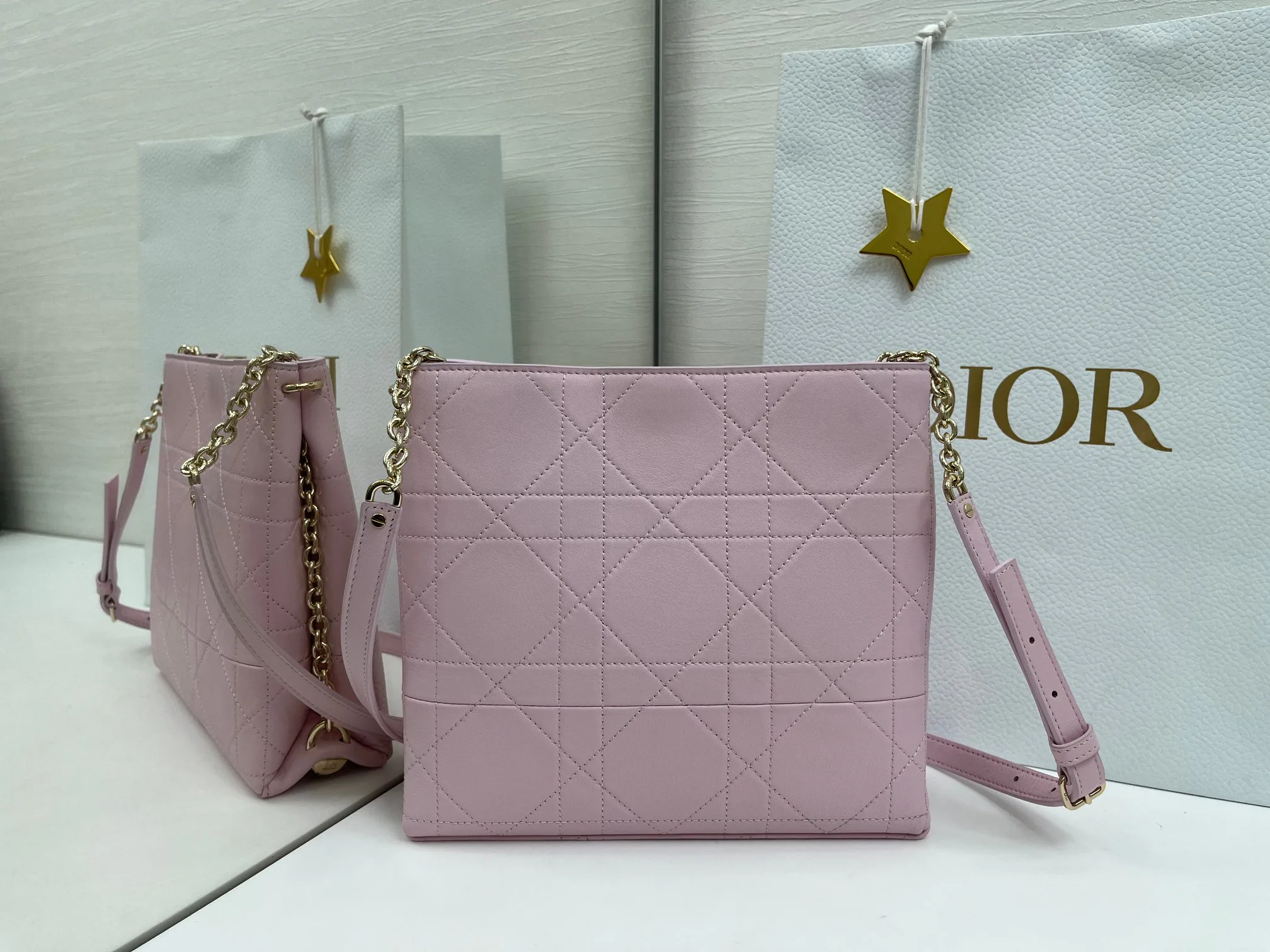 Классические Сумки Женские Christian Dior 13349537