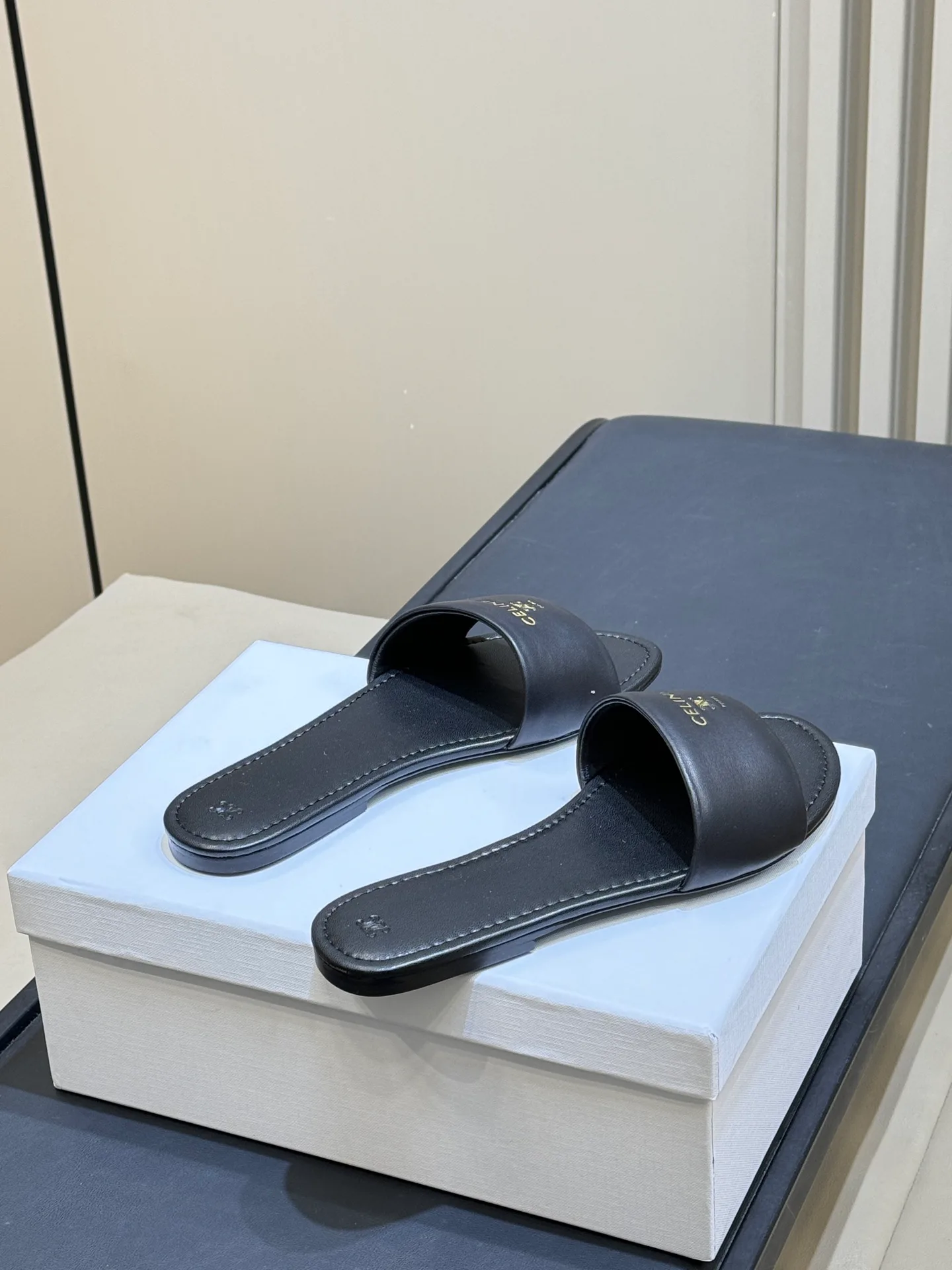 Шлепанцы Женские Celine 5024403