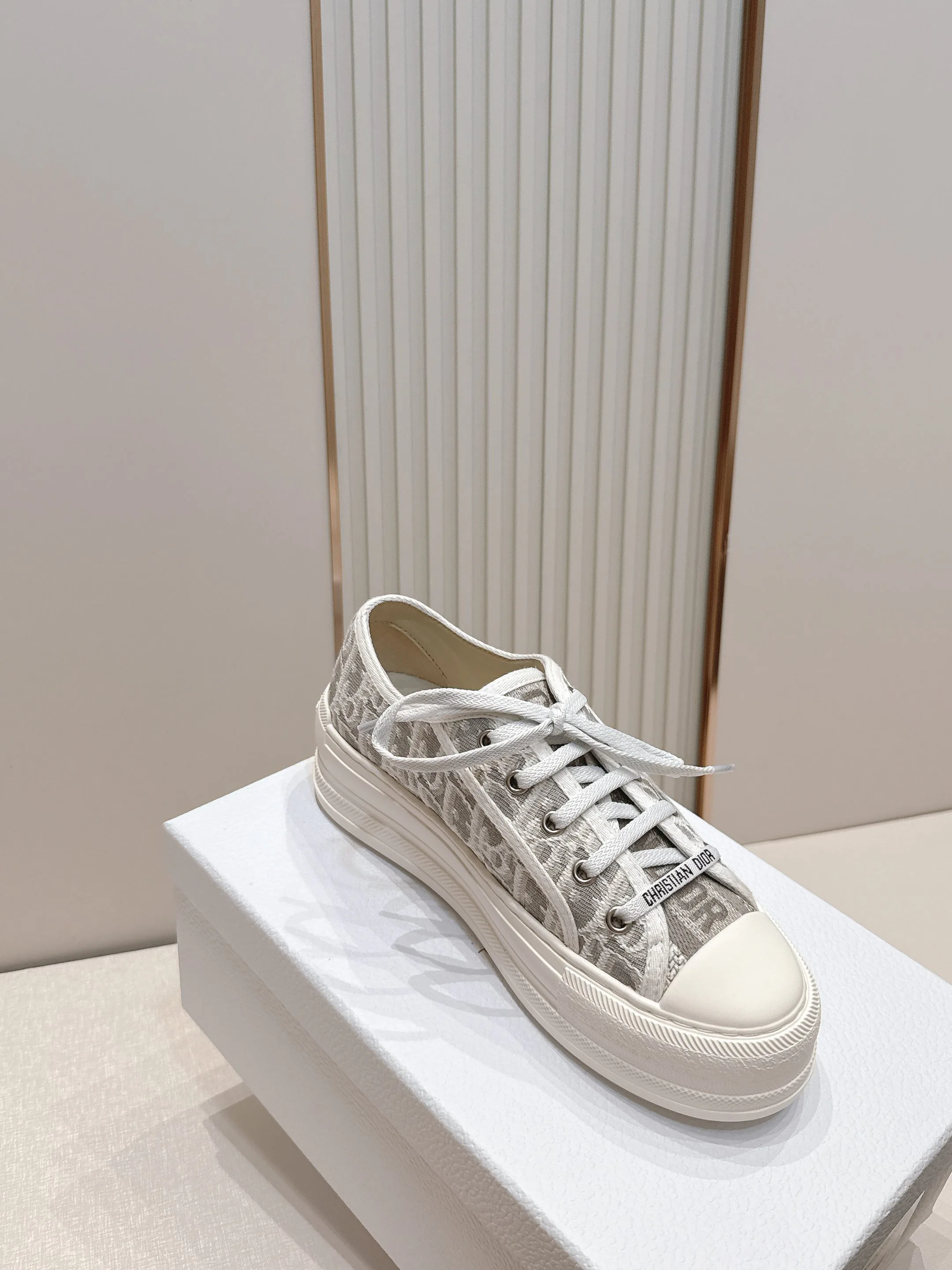 Кроссовки Женские Christian Dior 17411430