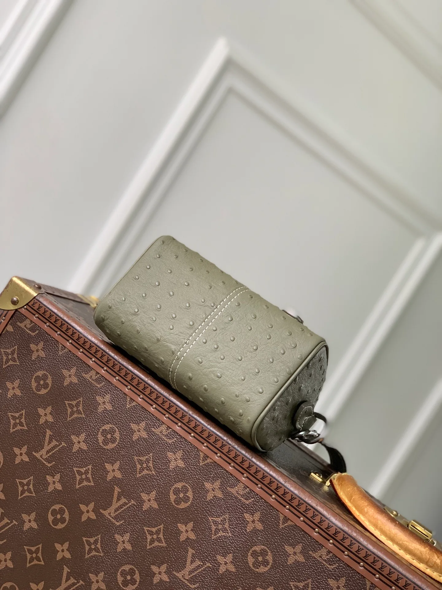 Классические Сумки Женские Louis Vuitton 13333543