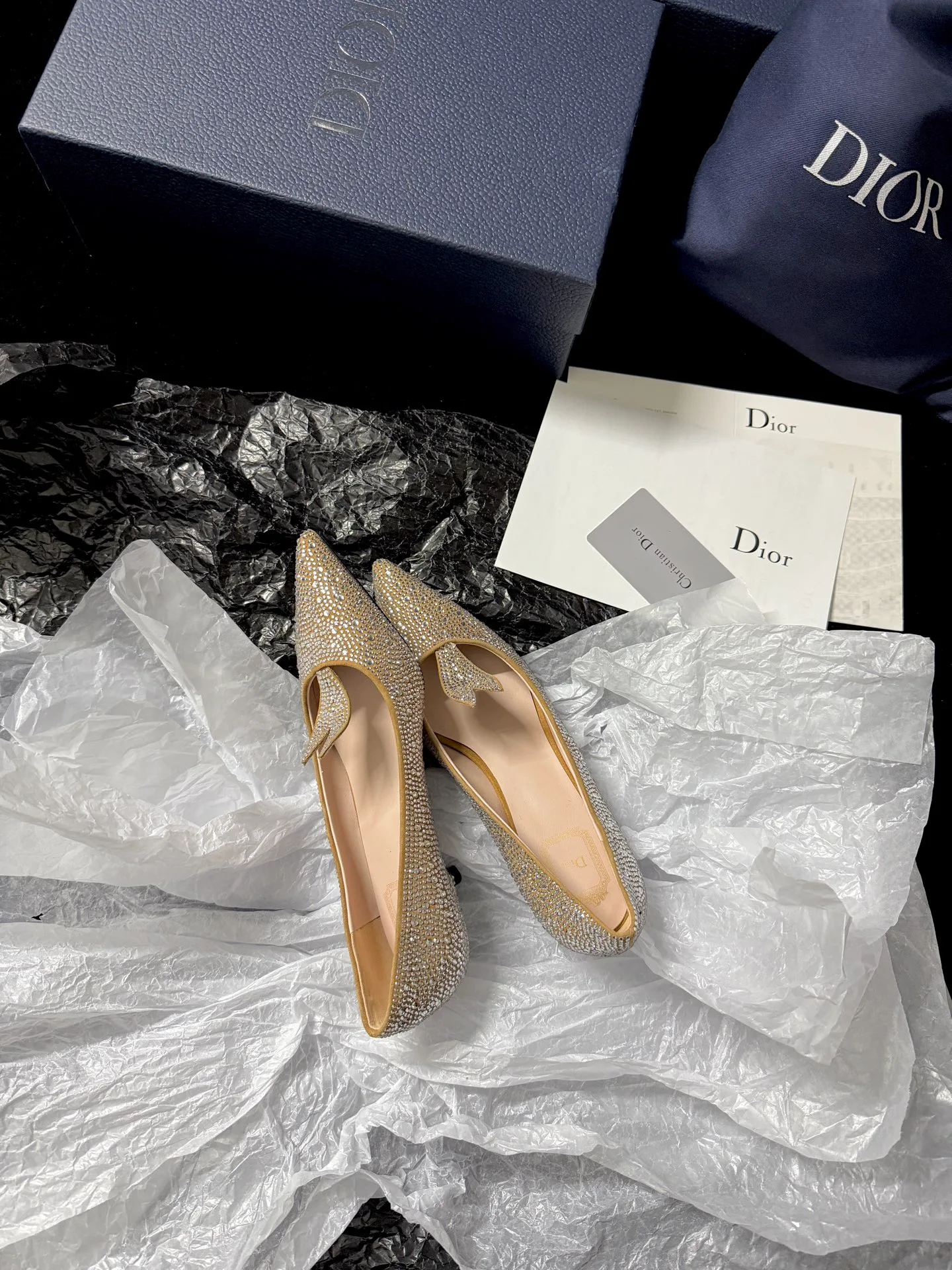 Туфли Женские Christian Dior 445814