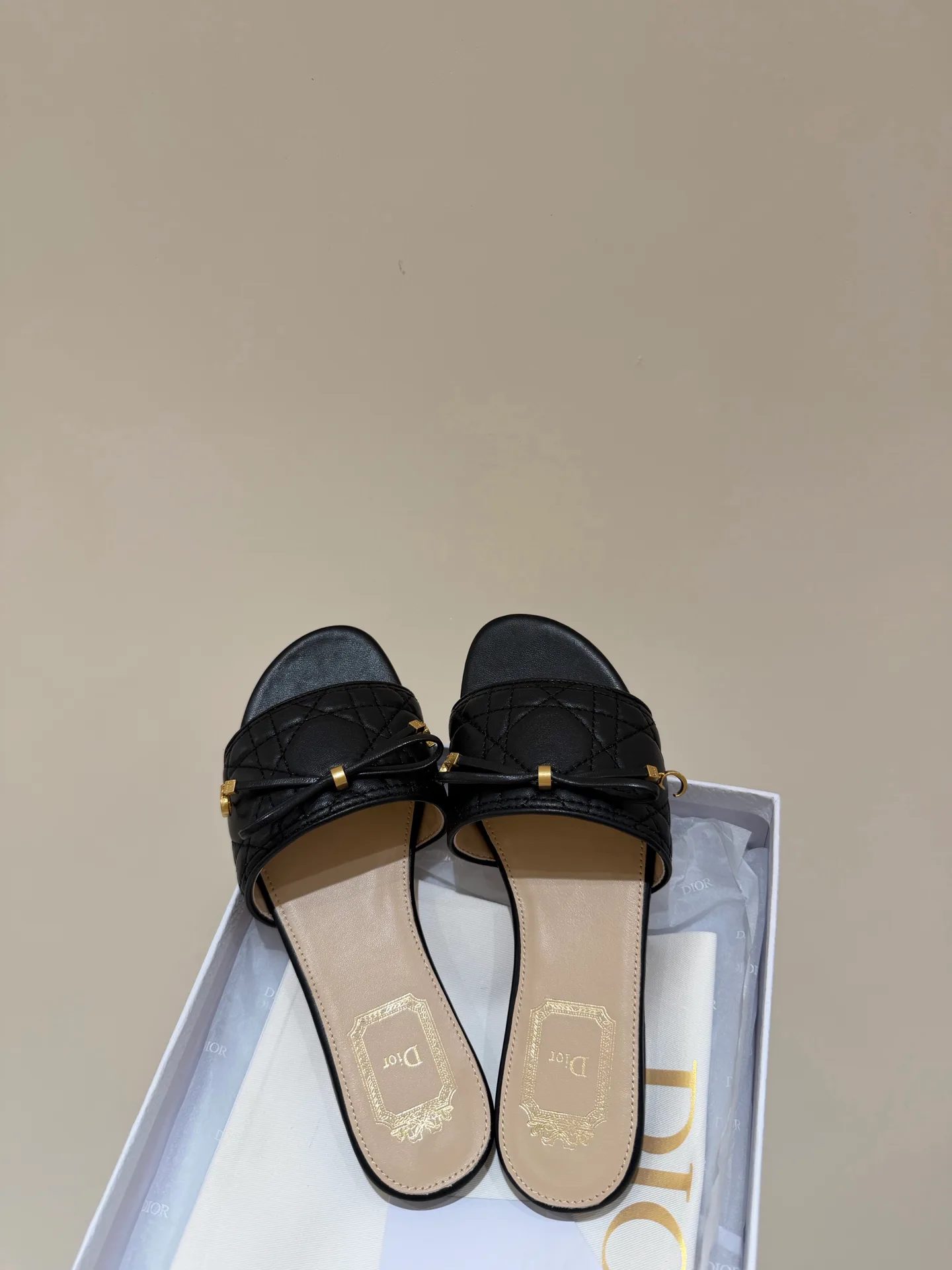Шлепанцы Женские Christian Dior 13539515