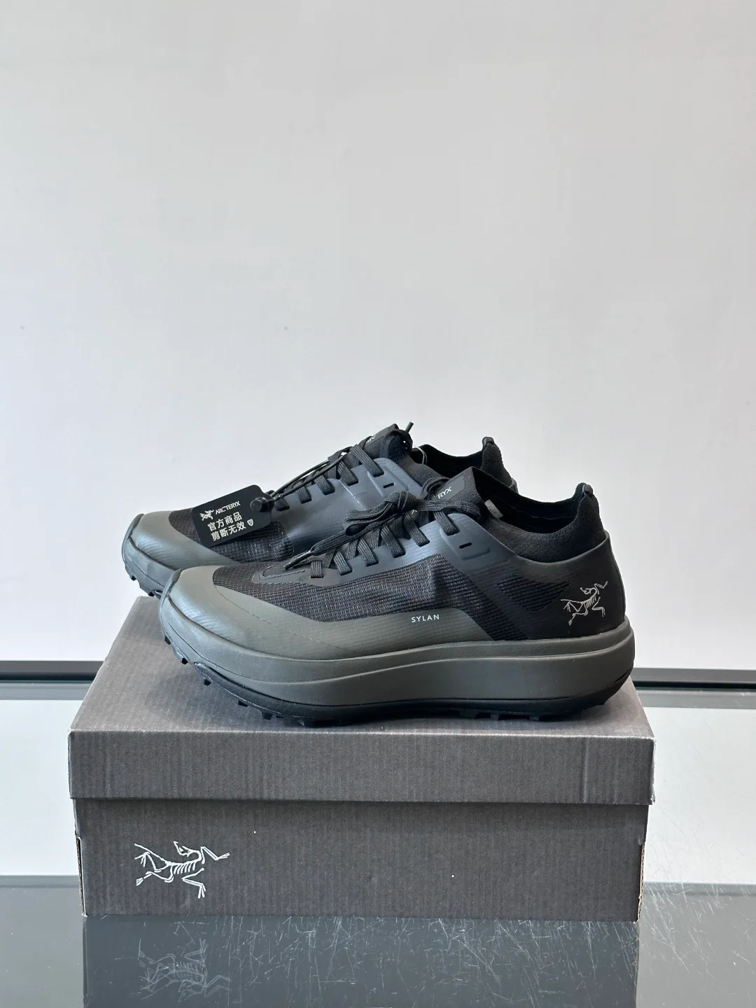 Кроссовки Мужские Arcteryx 17553321