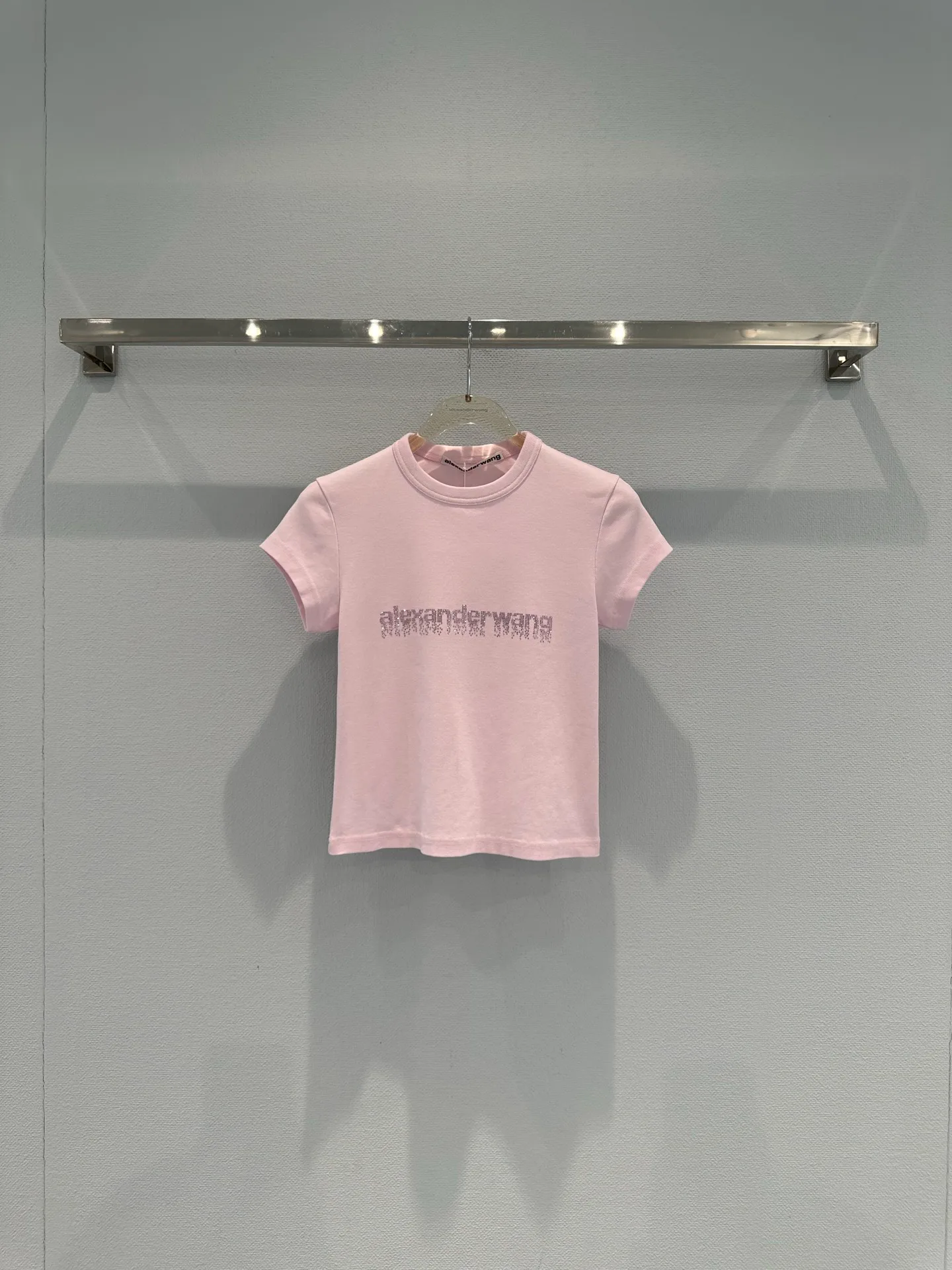 Футболки Женские Alexander Wang 5027374