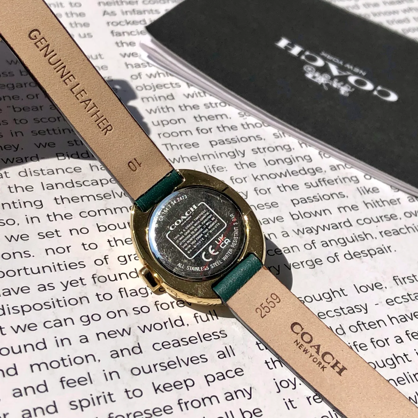 Часы Женские Coach 449049