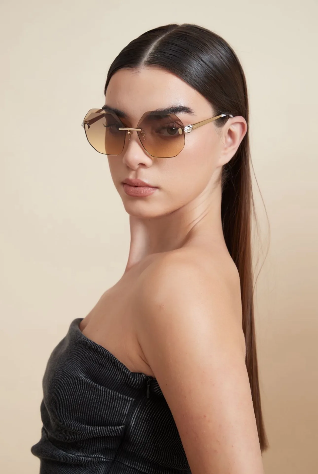 Очки Bvlgari 256341