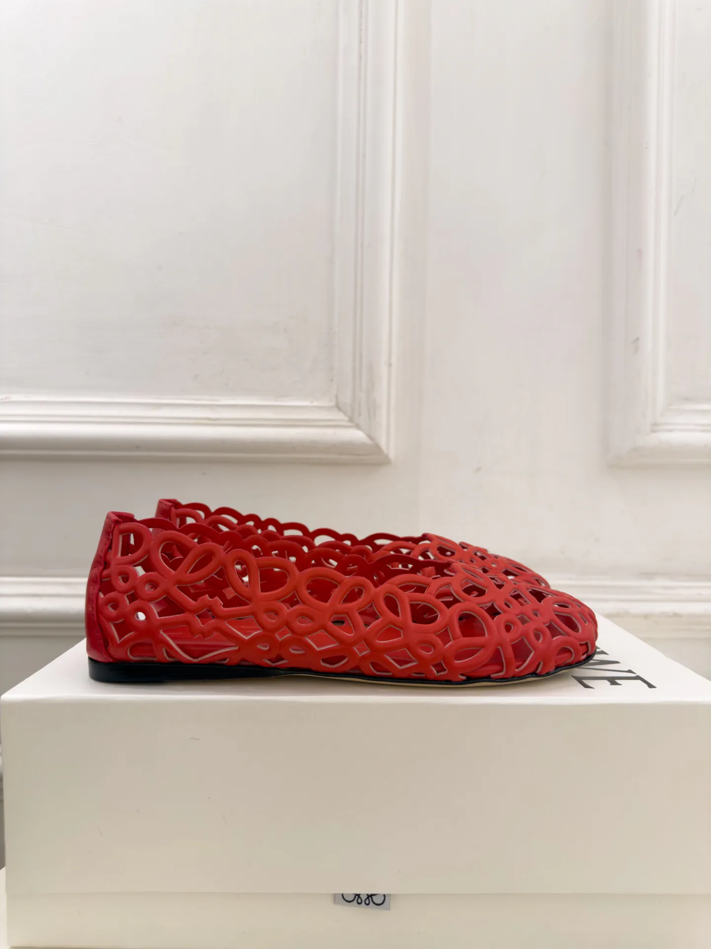 Балетки Женские Loewe 18731481