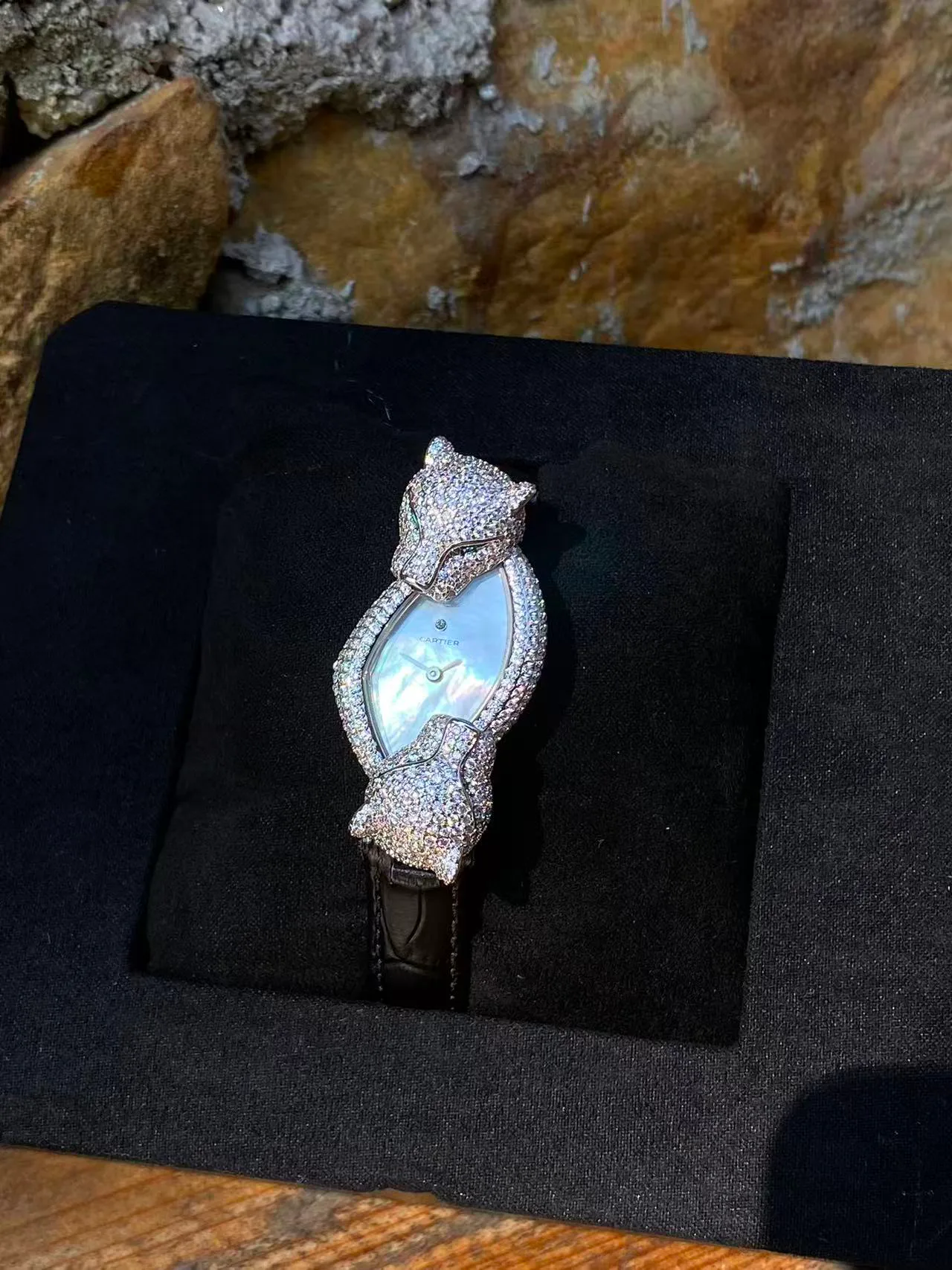 Часы Женские Cartier 2971648