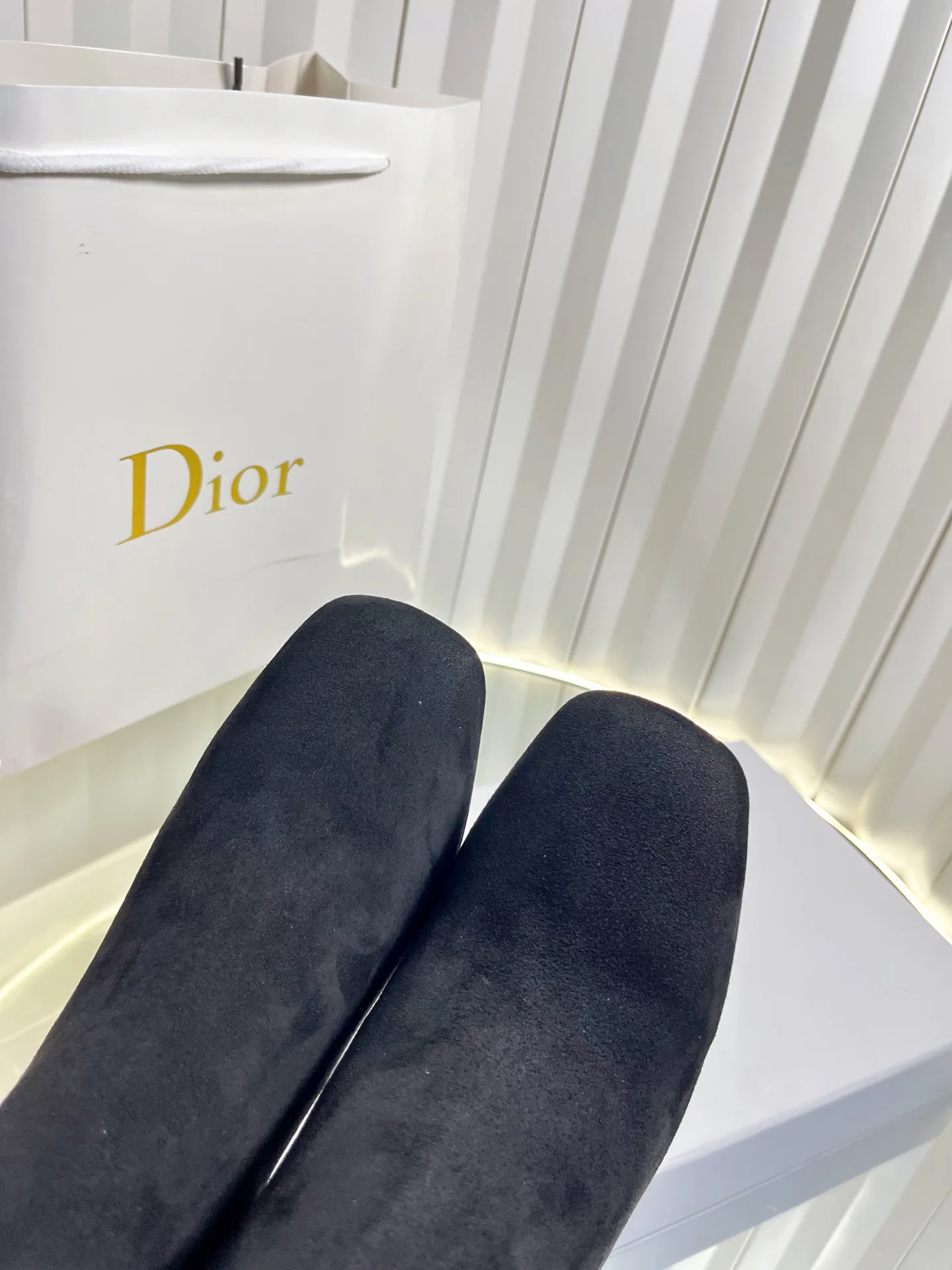 Ботильоны Женские Christian Dior 195791