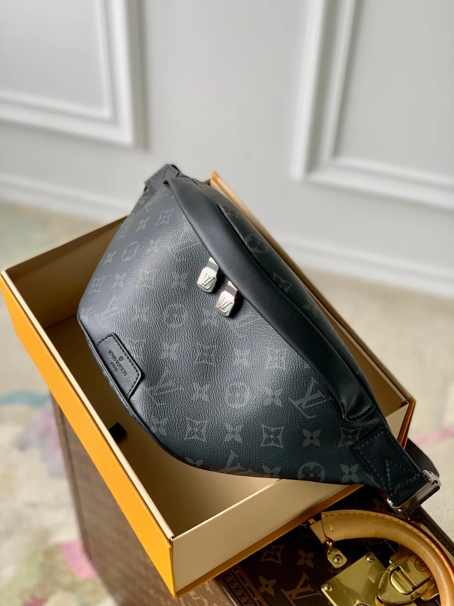 Поясные Сумки Женские Louis Vuitton 11598808