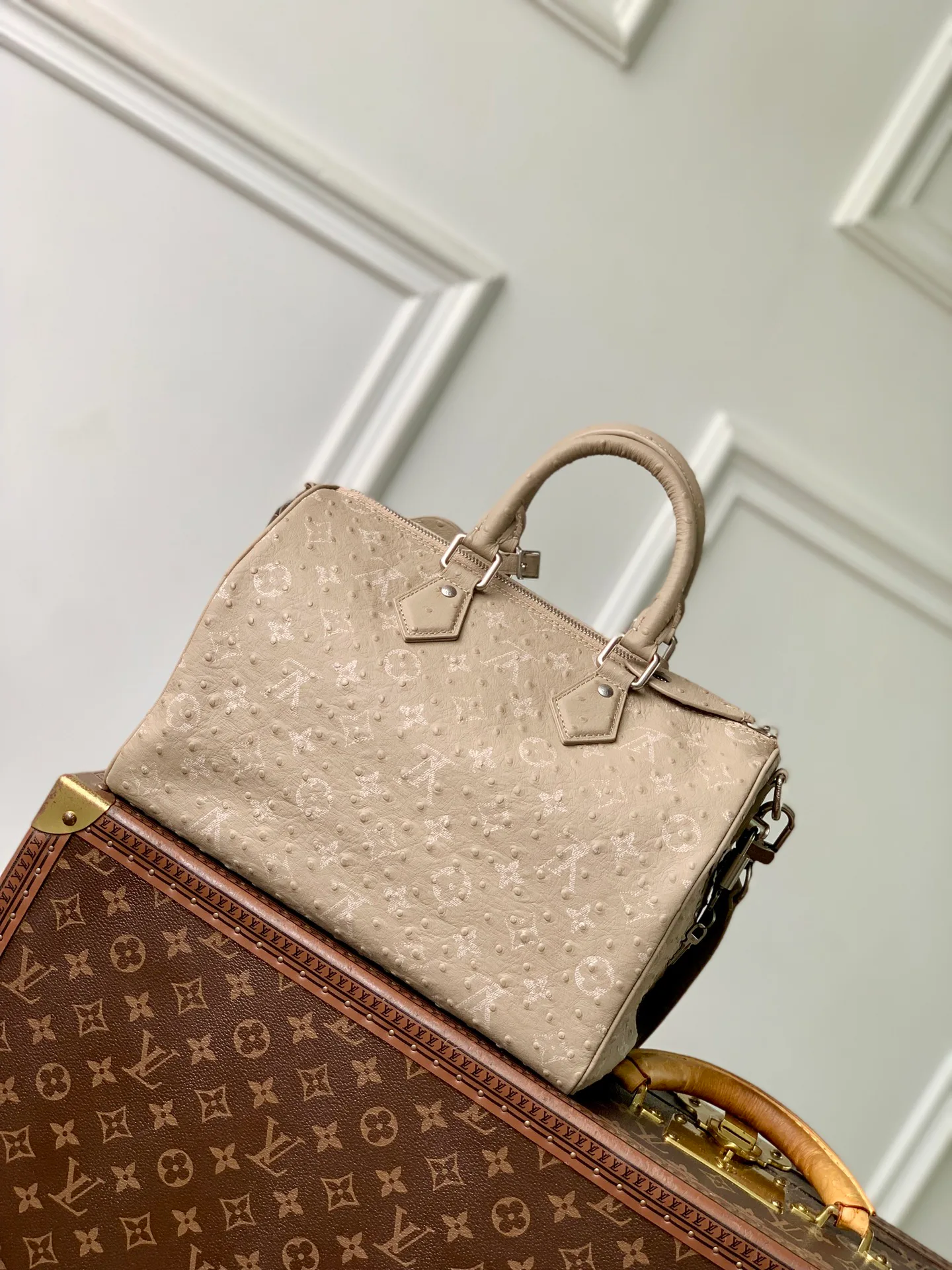 Классические Сумки Женские Louis Vuitton 18147441