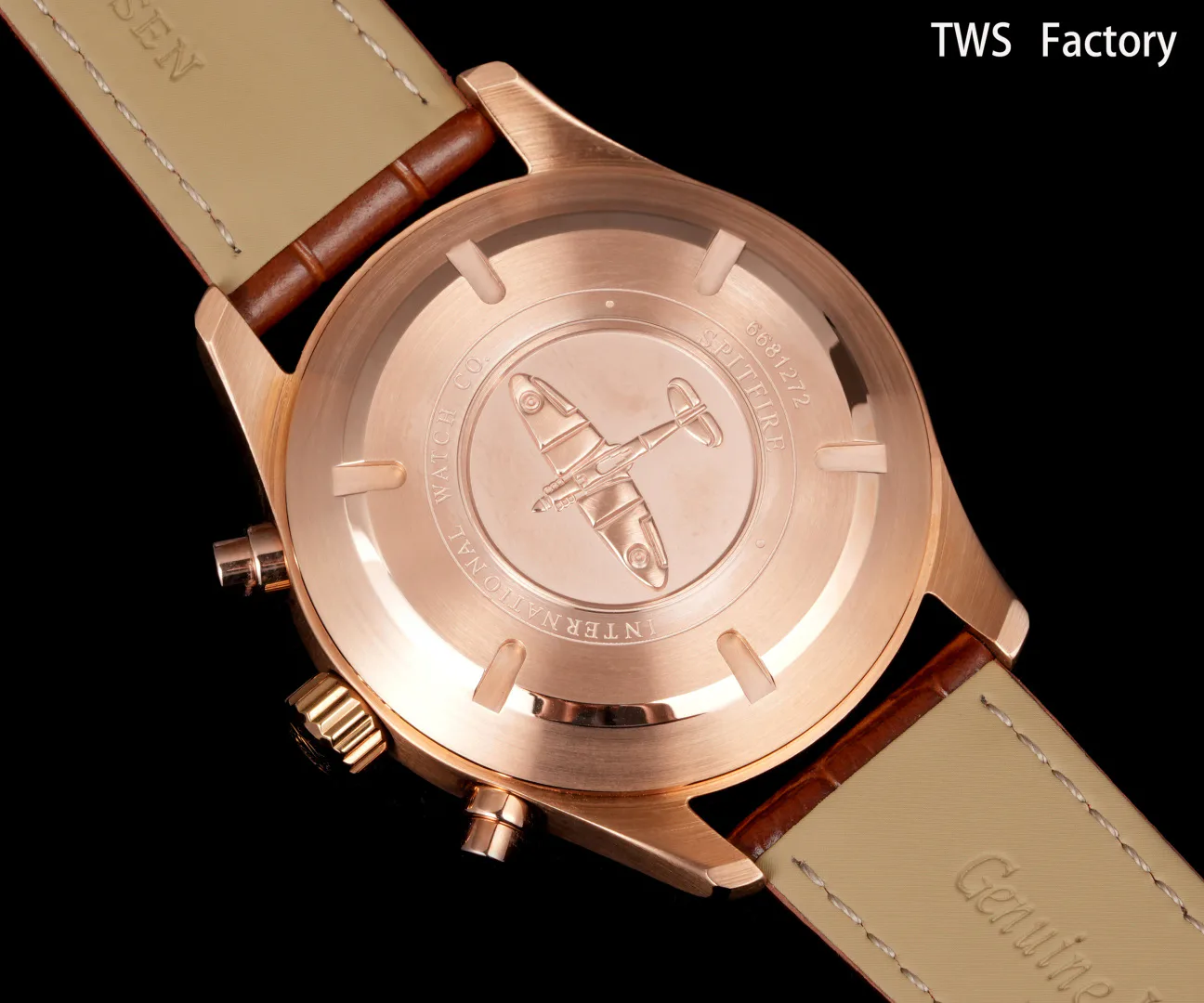 Часы Мужские Iwc 17902125