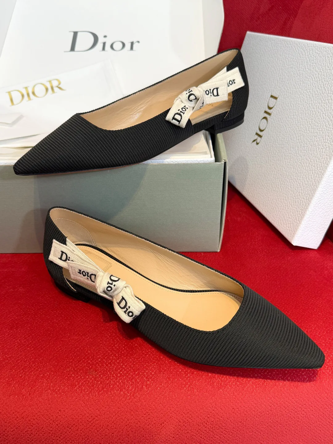 Туфли Женские Christian Dior 13569602