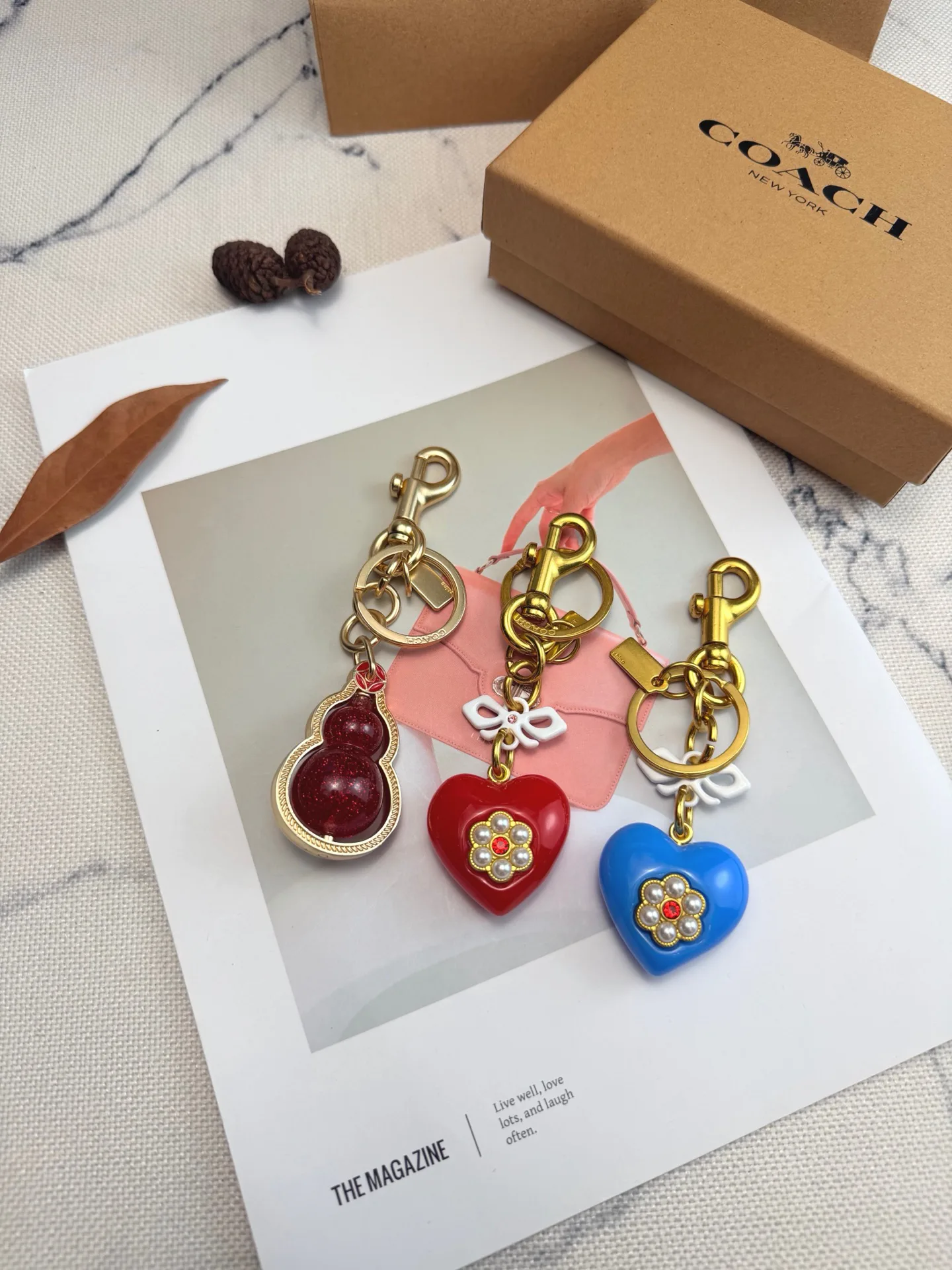 Ключницы Coach 818631