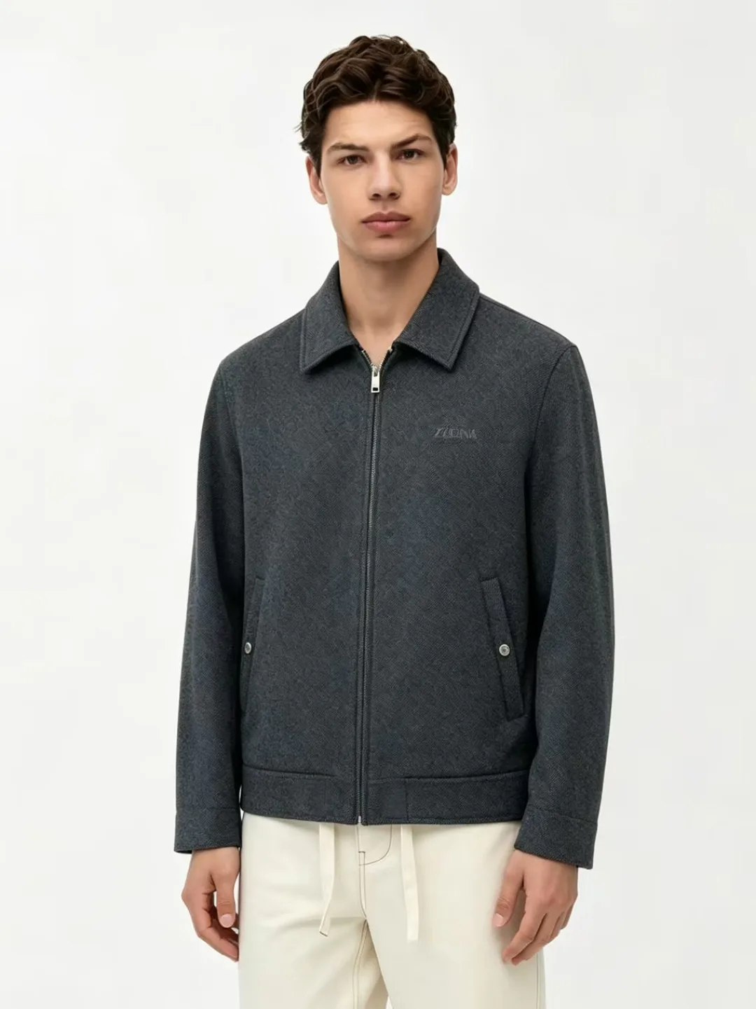 Куртки И Пуховики Мужские Zegna 17054823