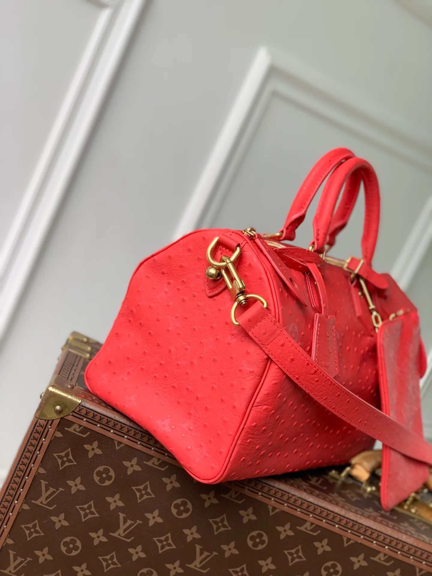 Классические Сумки Женские Louis Vuitton 18147439