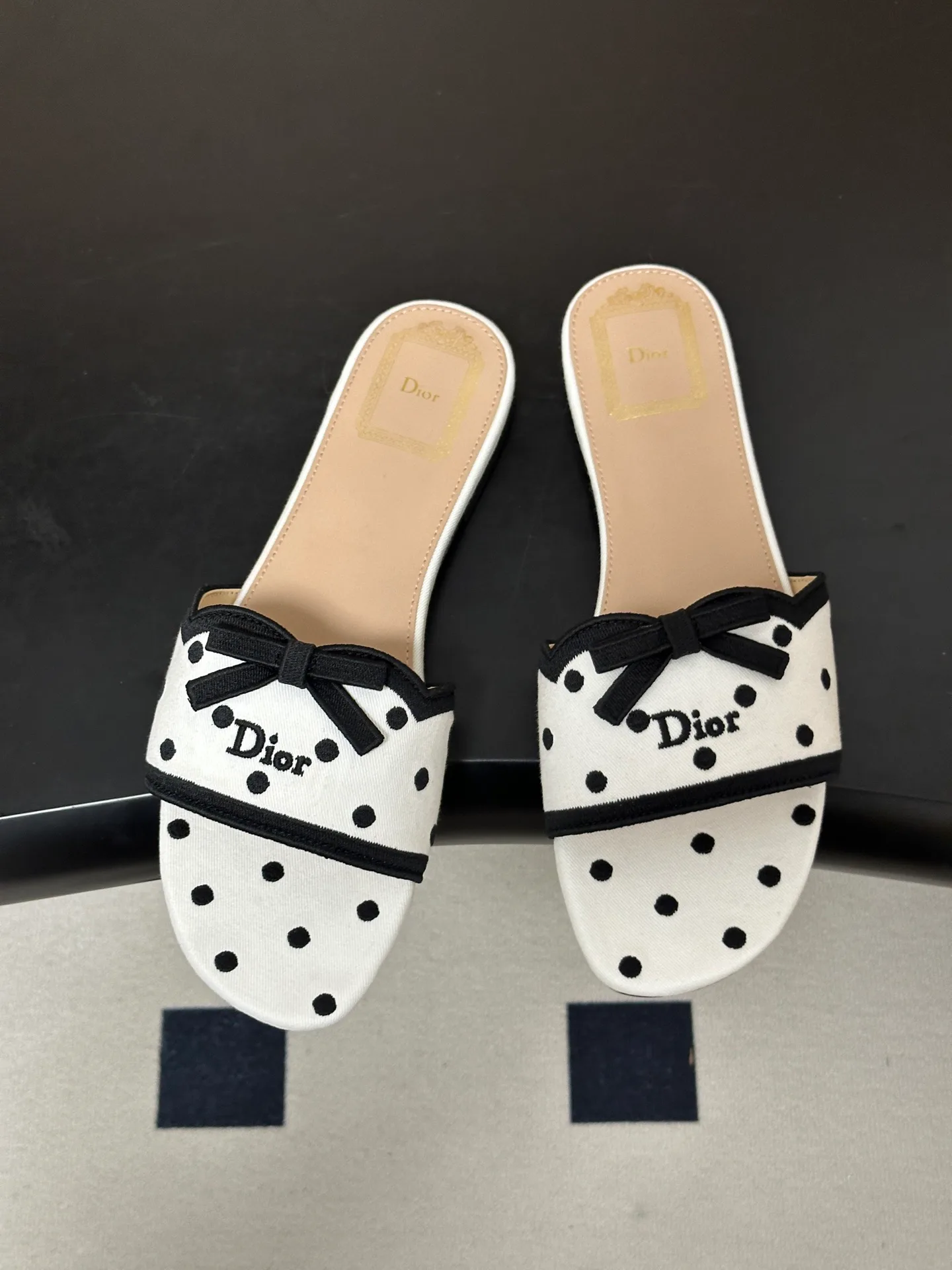 Шлепанцы Женские Christian Dior 18049491