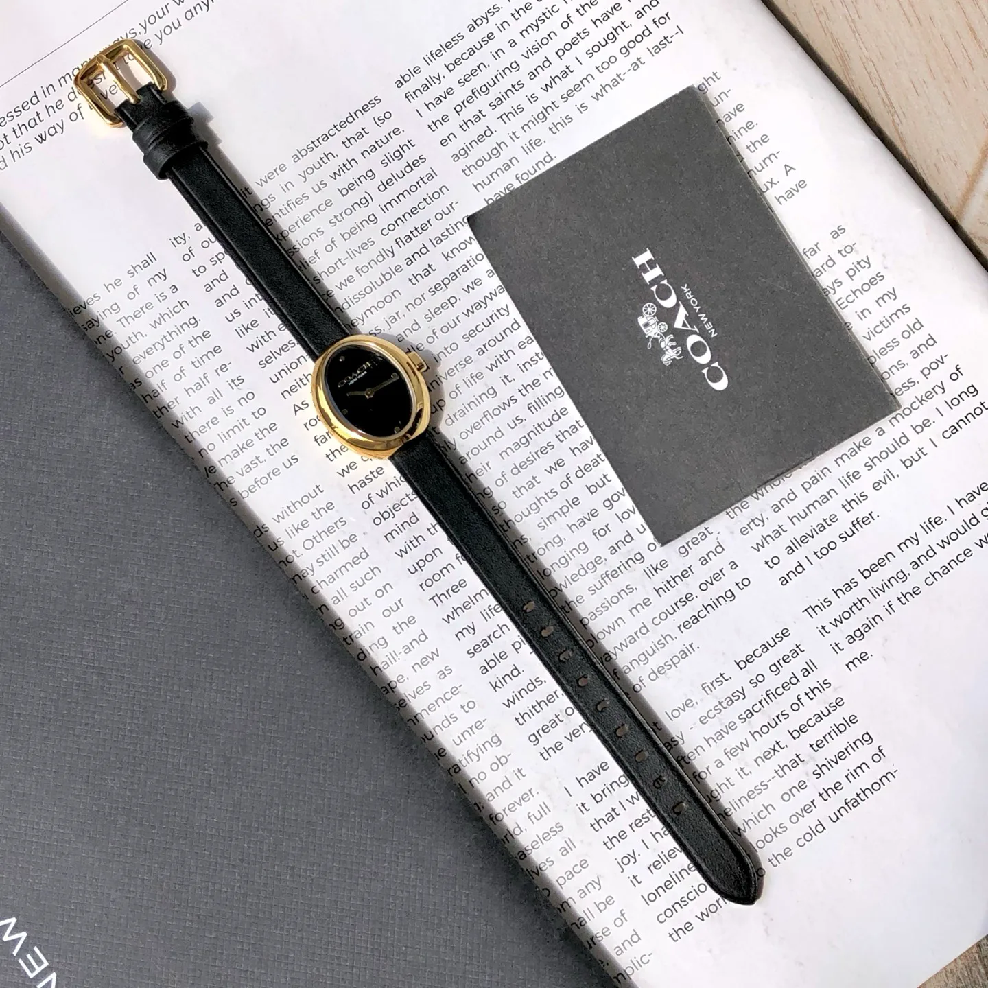 Часы Женские Coach 449051