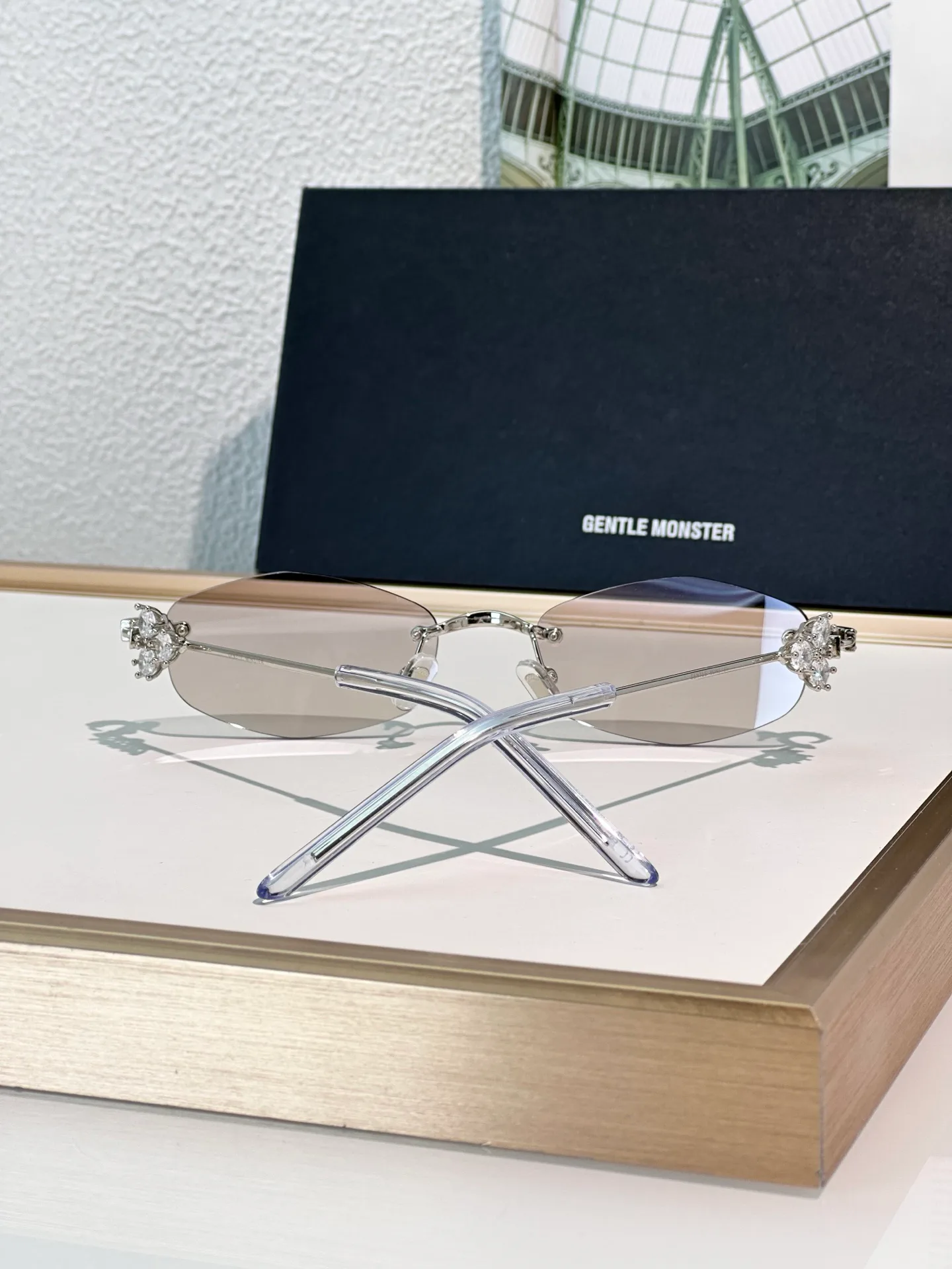 Очки Gentle Monster 13352100