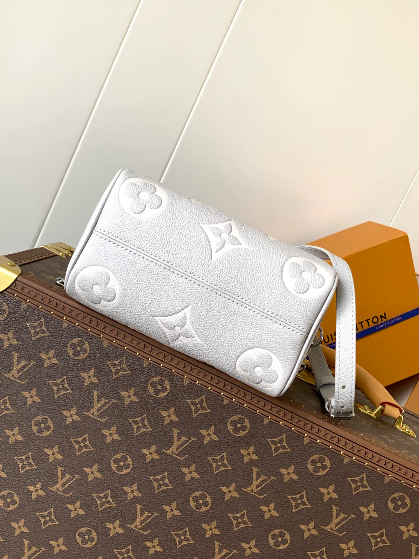 Классические Сумки Женские Louis Vuitton 11488618