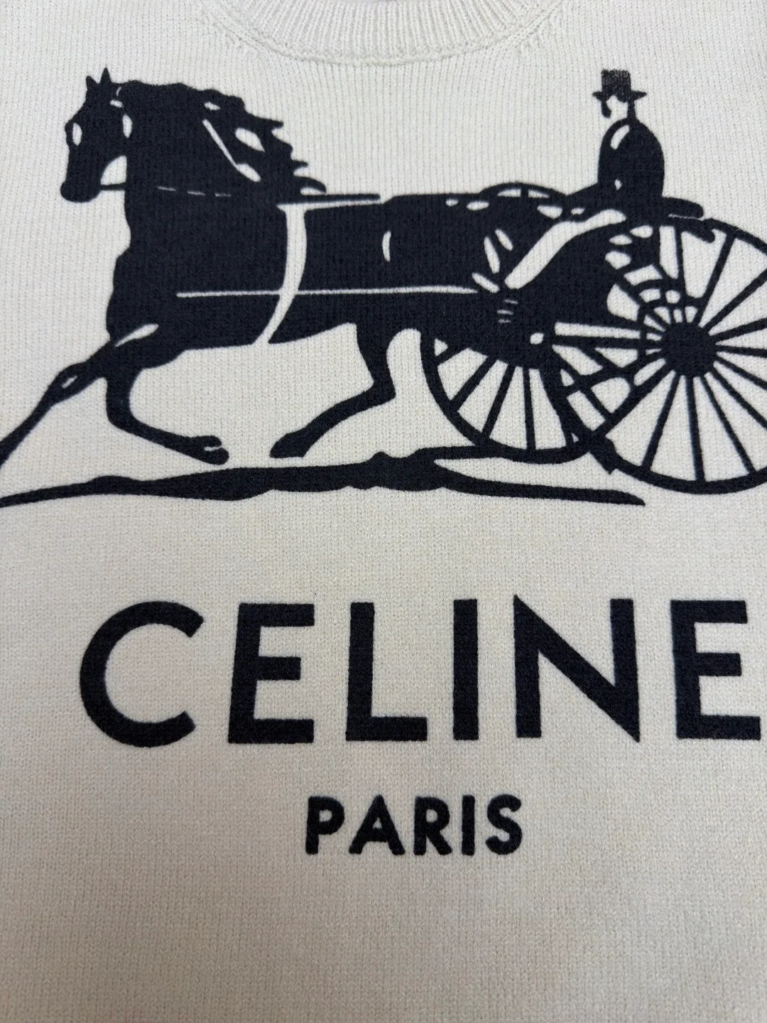 Джемперы И Свитеры Мужские Celine 6527801