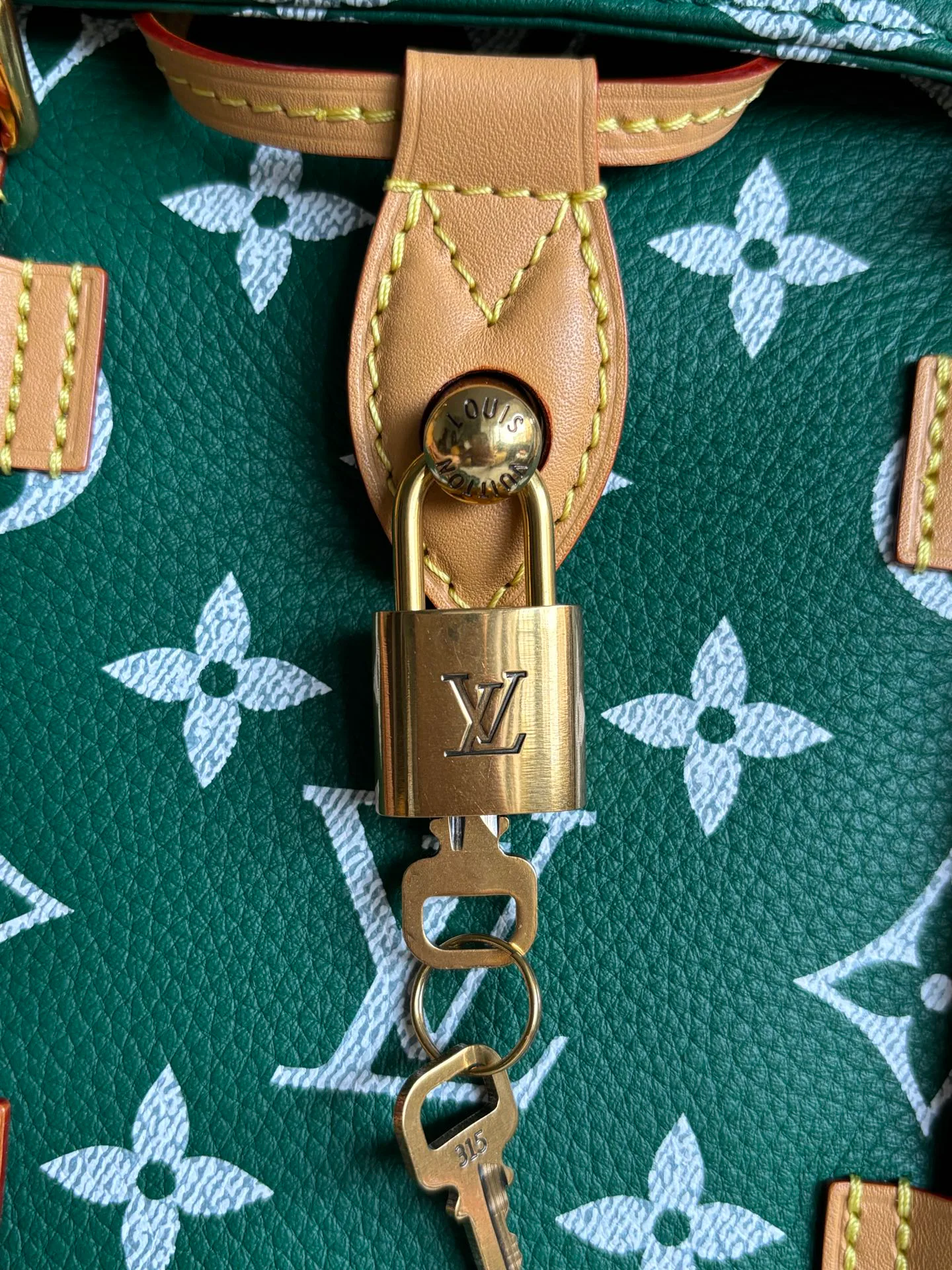 Классические Сумки Женские Louis Vuitton 11753891
