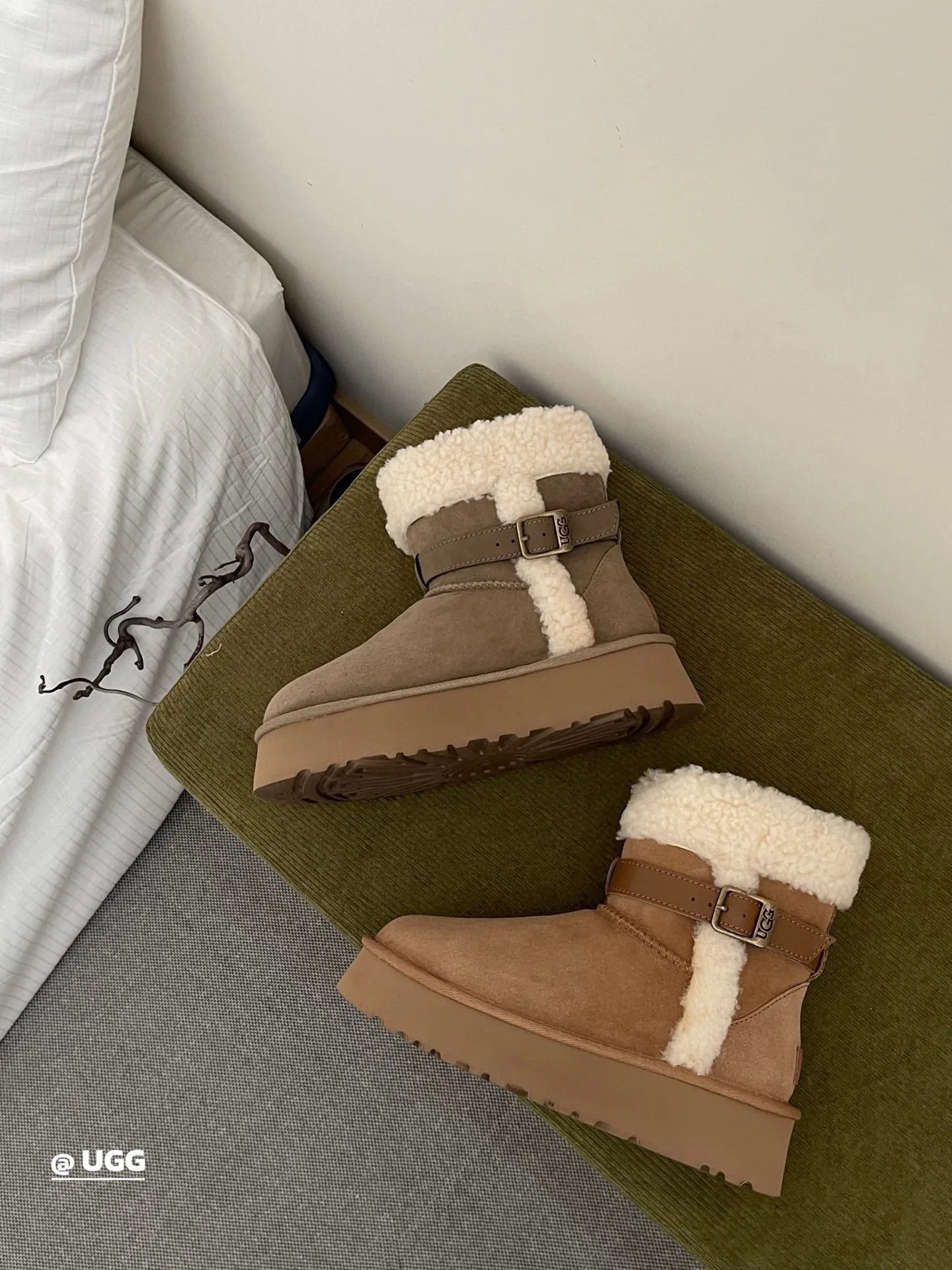 Угги Женские Ugg 1259679
