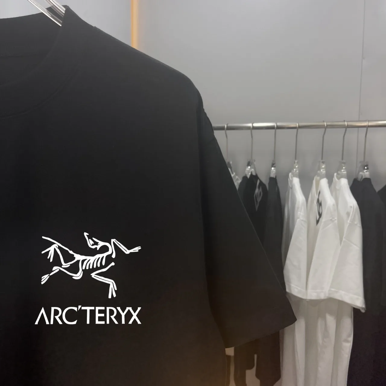 Футболки Женские Arcteryx 32322