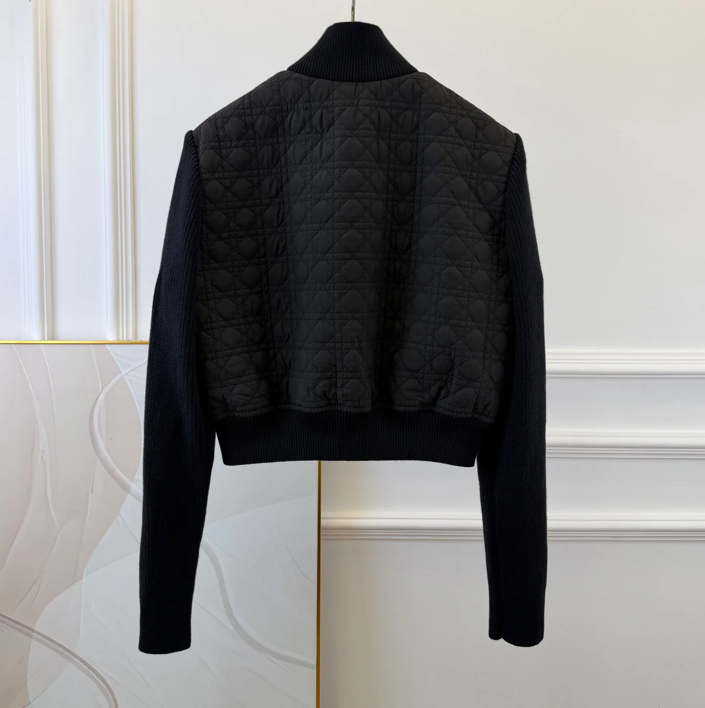 Куртки И Пуховики Женские Christian Dior 18428475