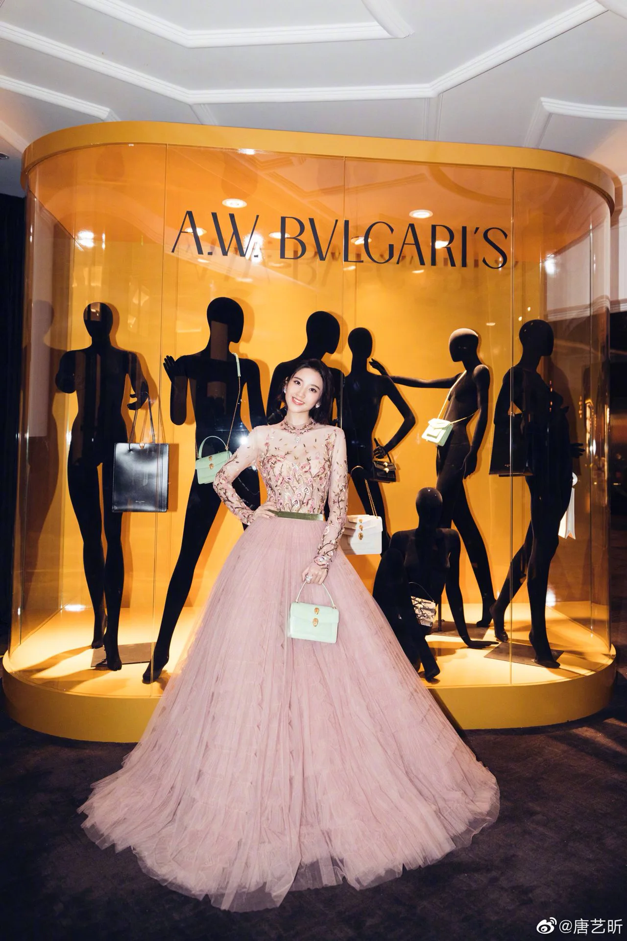 Классические Сумки Женские Bvlgari 118524