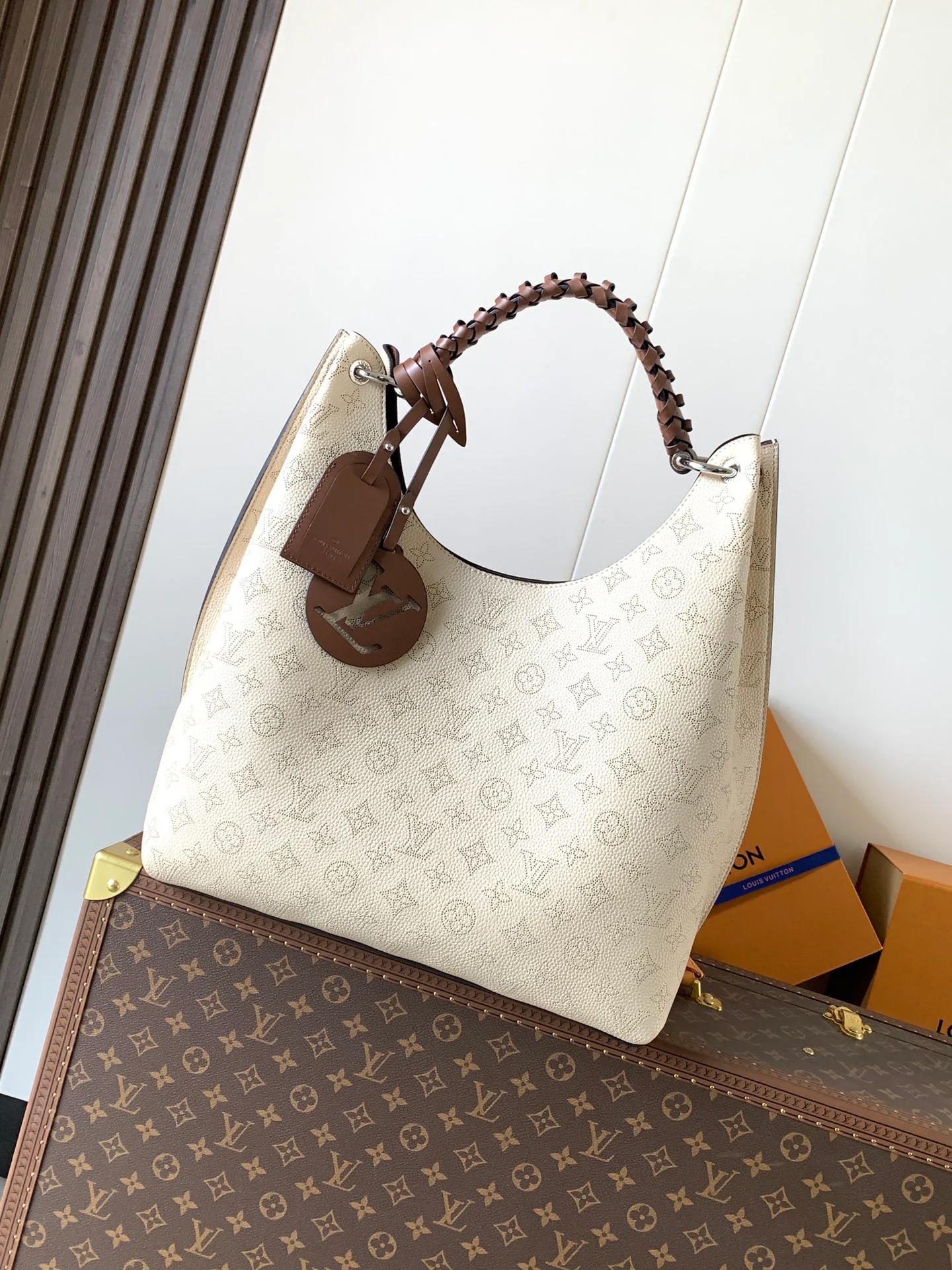 Классические Сумки Женские Louis Vuitton 11701512