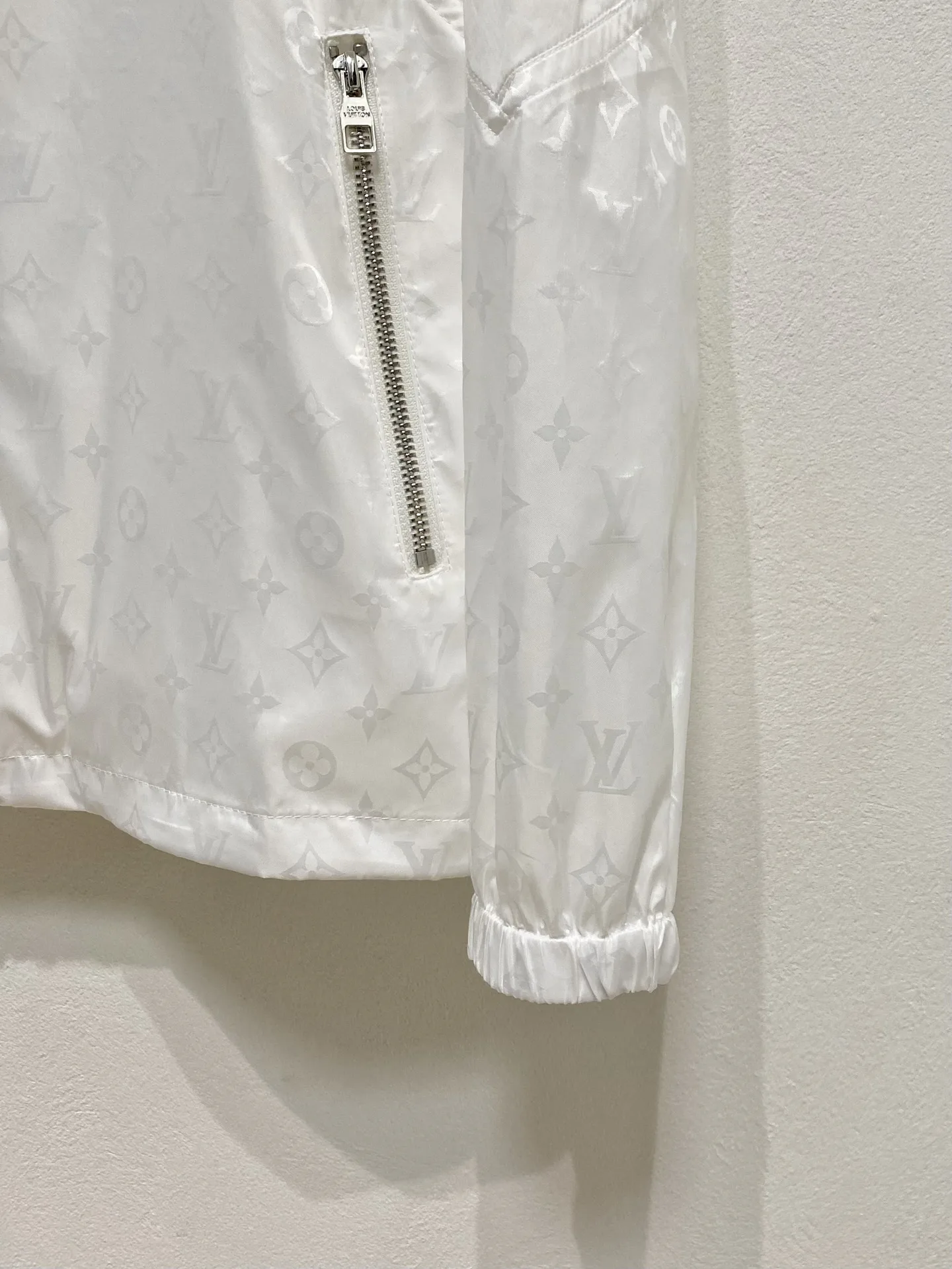 Куртки И Пуховики Мужские Louis Vuitton 30637