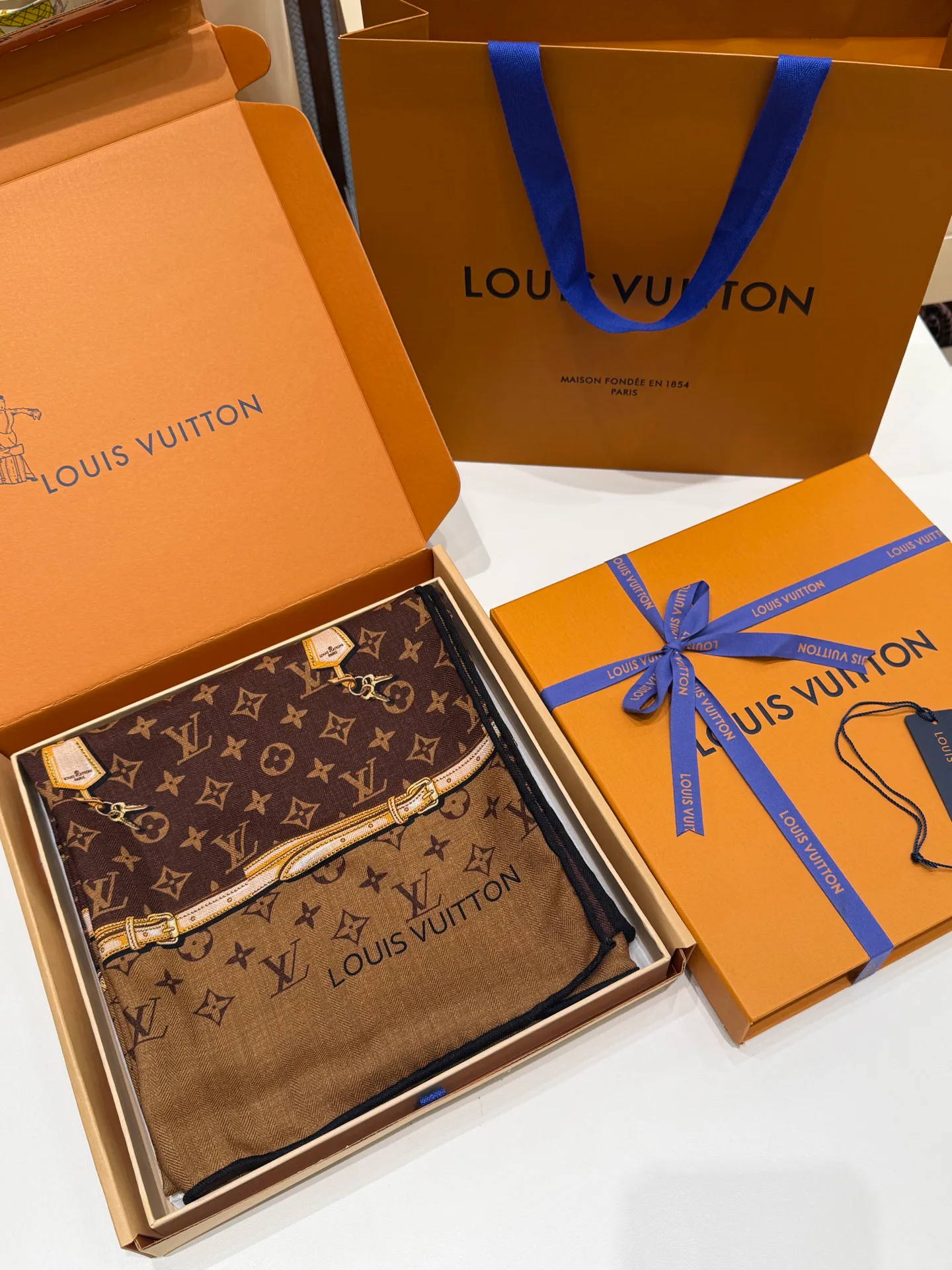 Шарфы Louis Vuitton 5904720