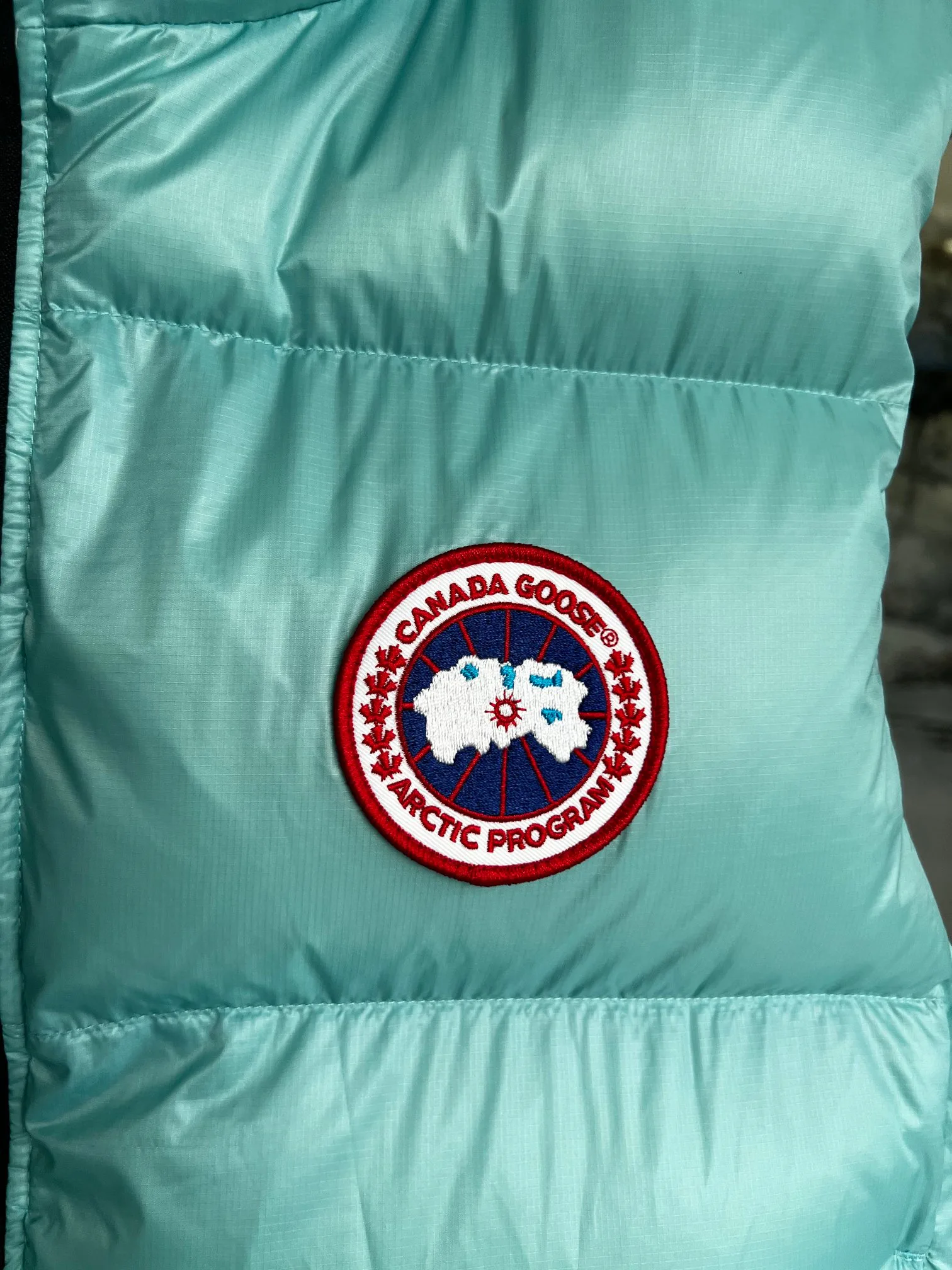 Жилеты Женские Canada Goose 2162185