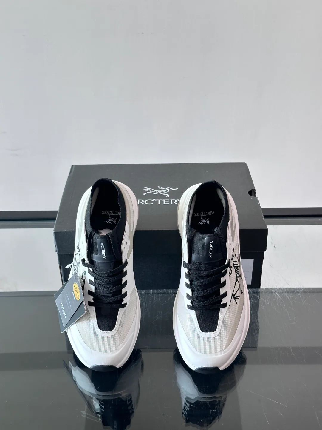 Кроссовки Мужские Arcteryx 17542411