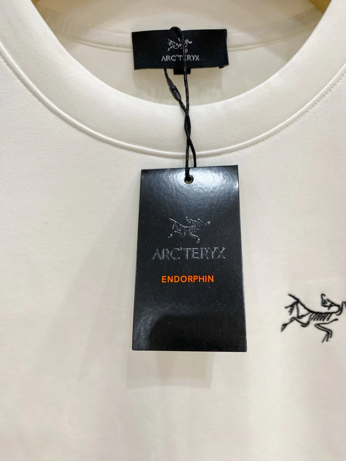 Свитшоты И Худи Мужские Arcteryx 19109674