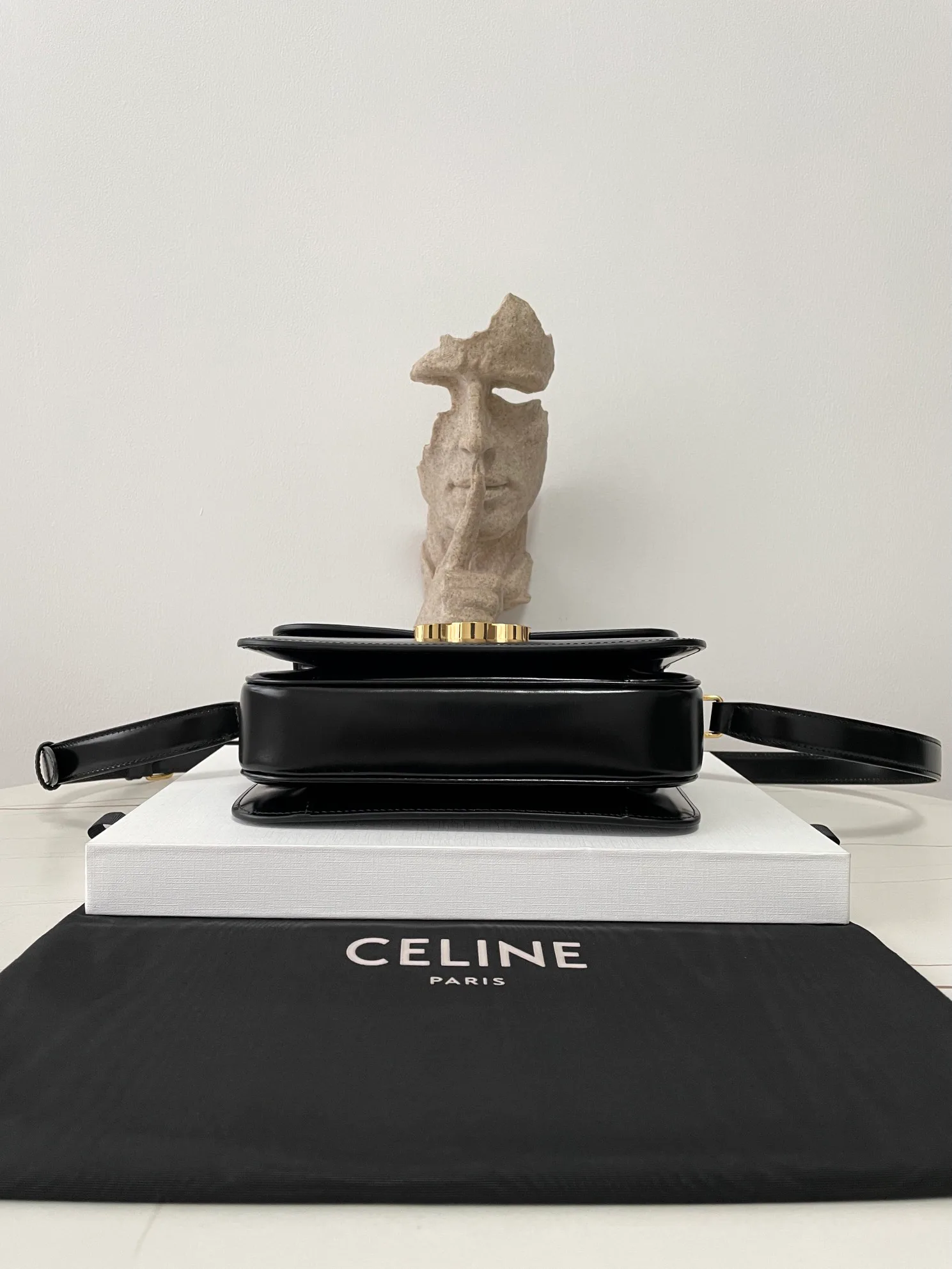 Классические Сумки Женские Celine 17001331