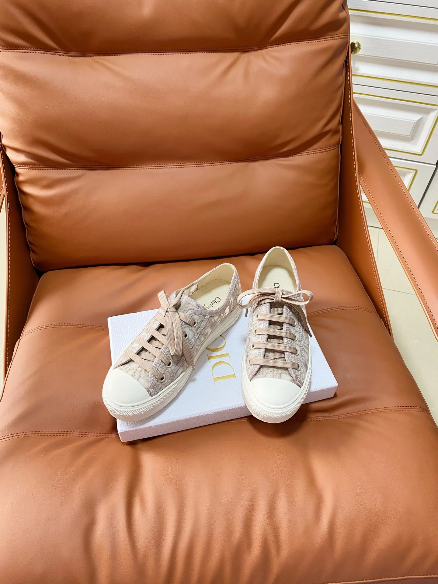 Кеды Женские Christian Dior 13454351