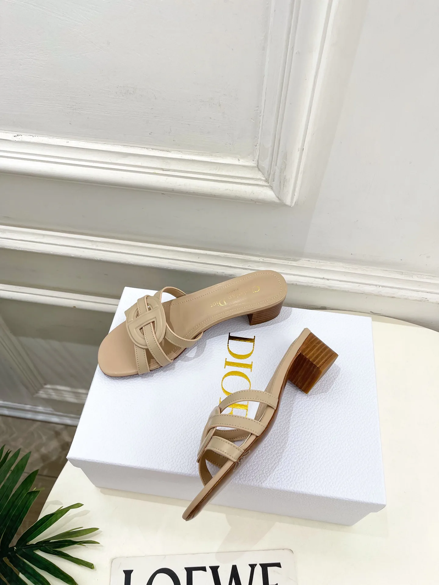 Туфли Женские Christian Dior 12601463