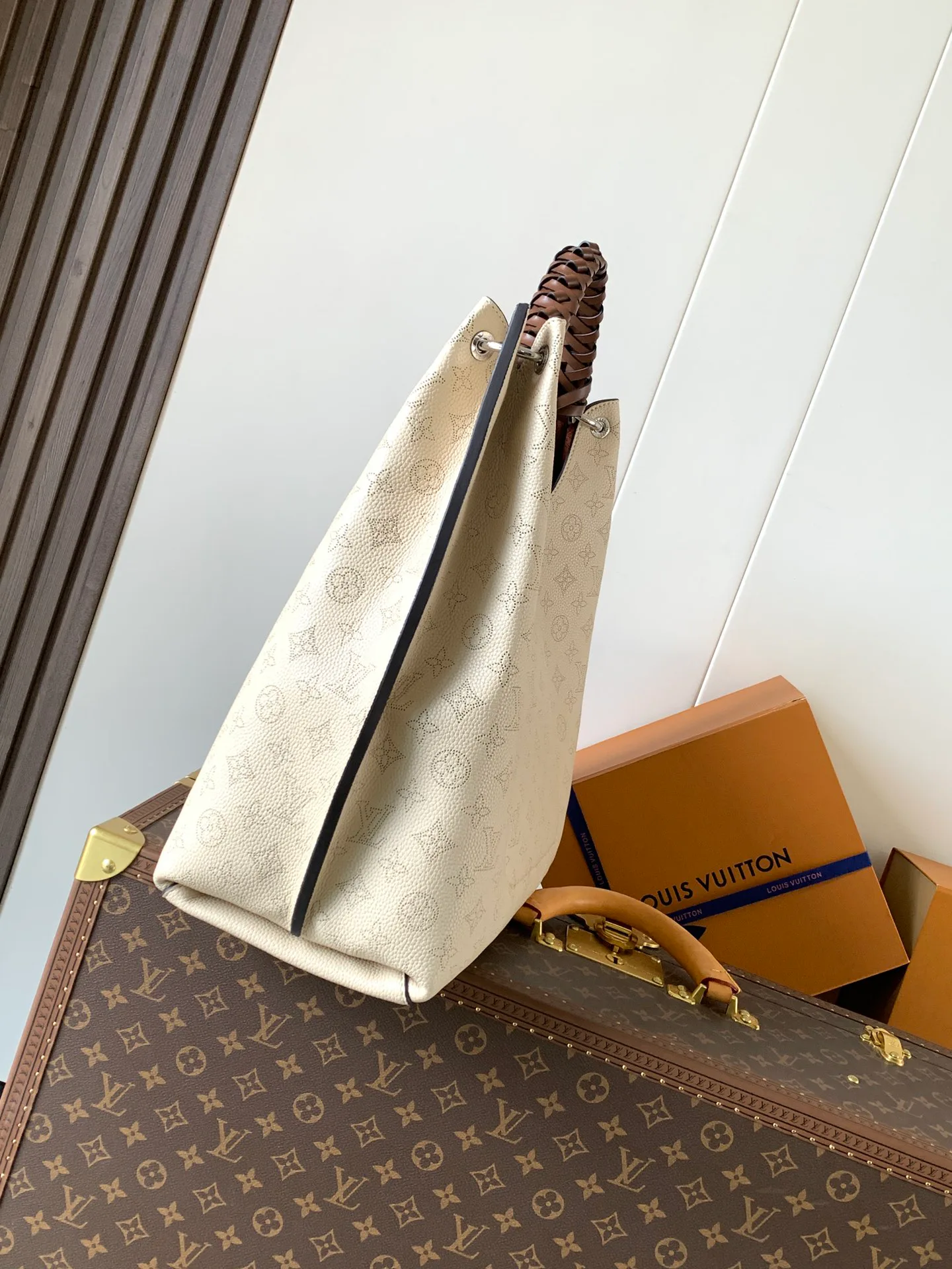 Классические Сумки Женские Louis Vuitton 11701512