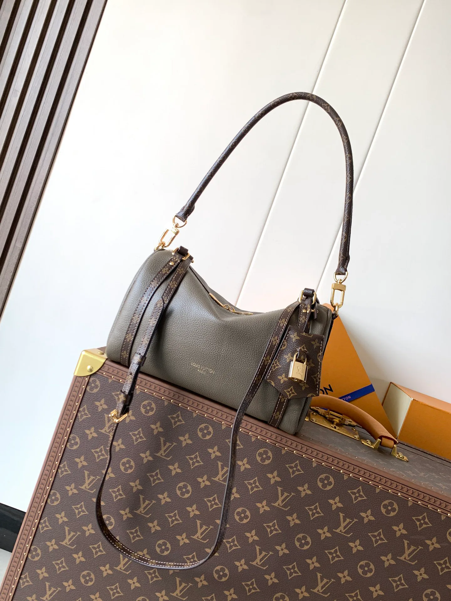 Классические Сумки Женские Louis Vuitton 11394899