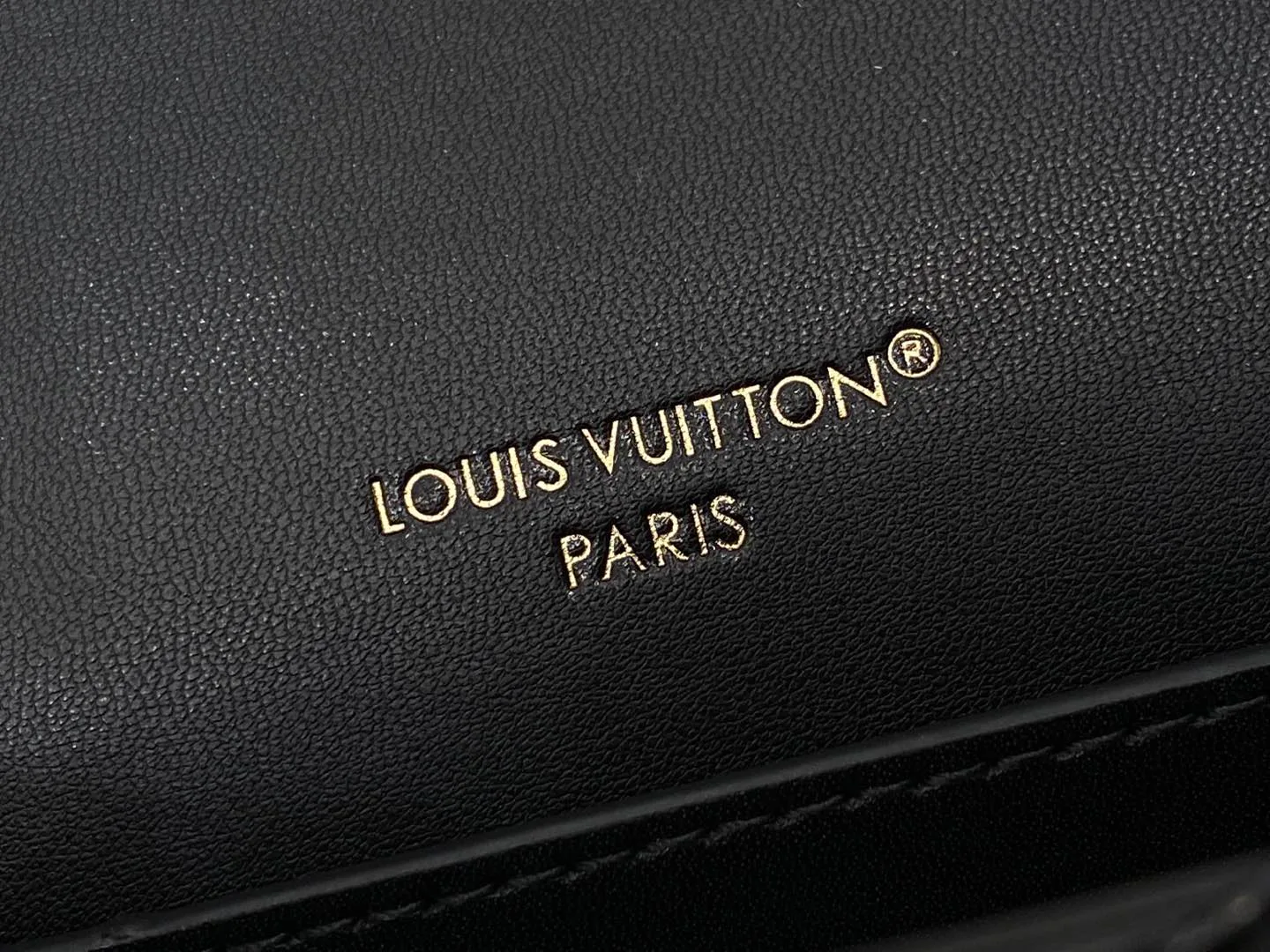 Сумки На Ремне Женские Louis Vuitton 10964