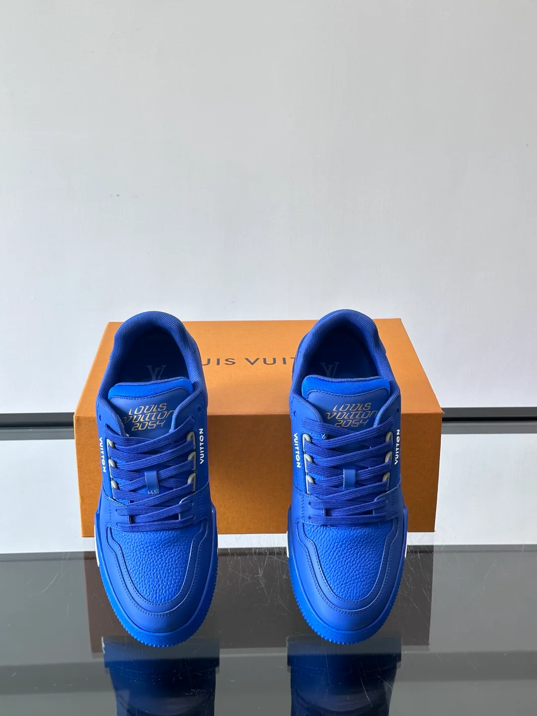 Кроссовки Мужские Louis Vuitton 110616