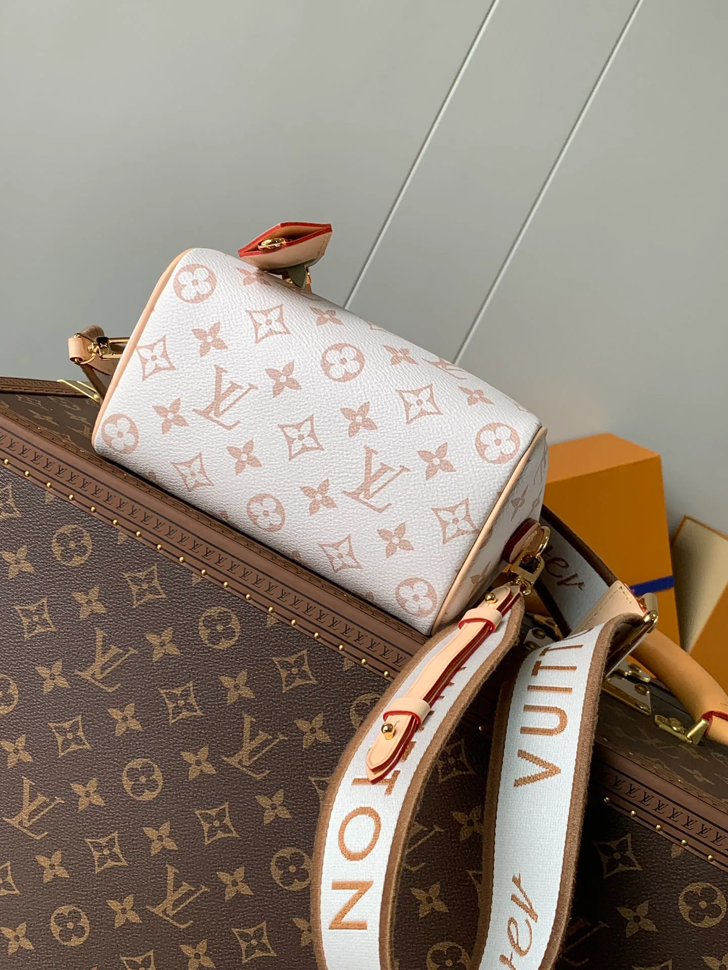 Классические Сумки Женские Louis Vuitton 11488648