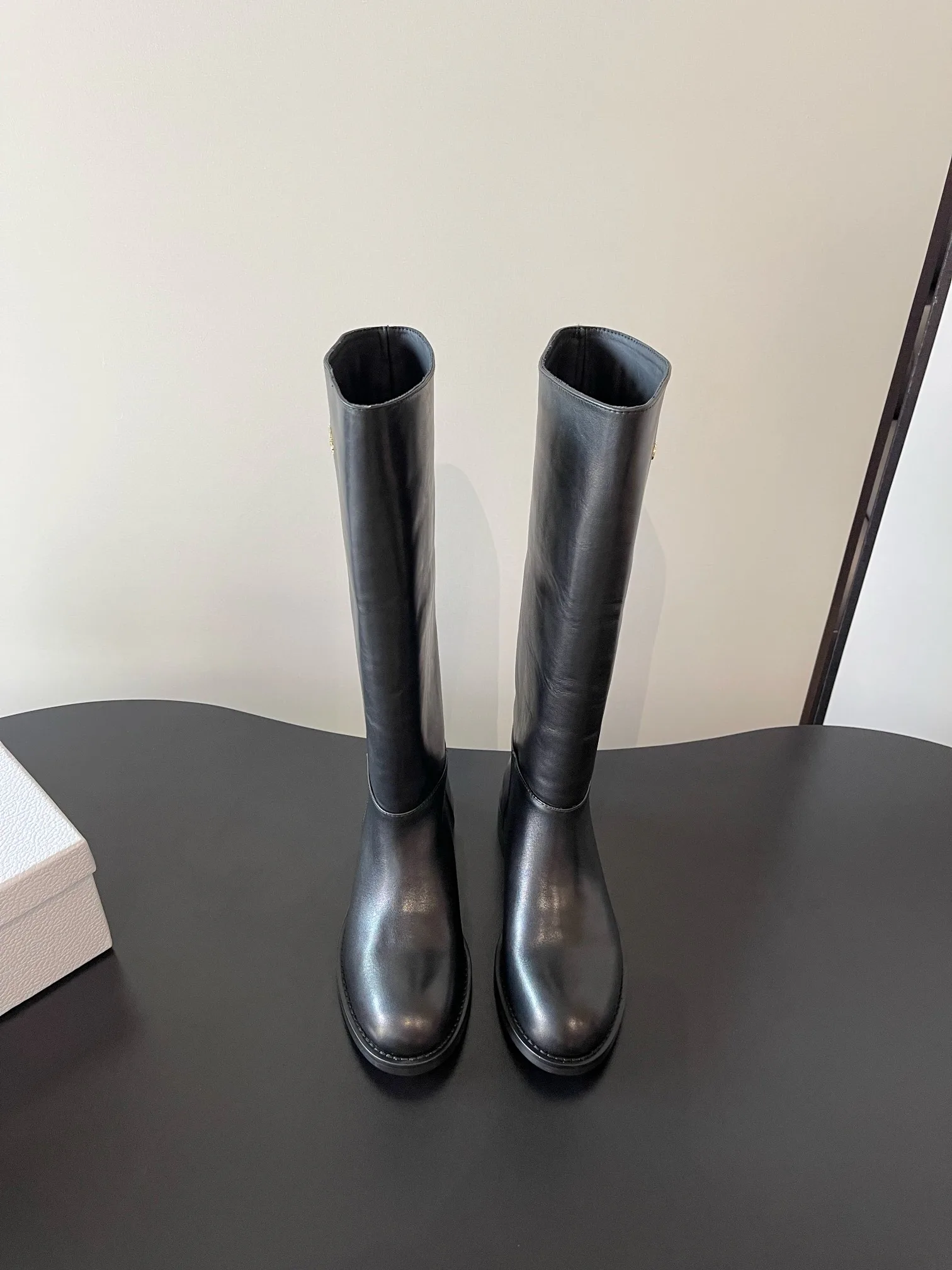 Сапоги Женские Christian Dior 1523289