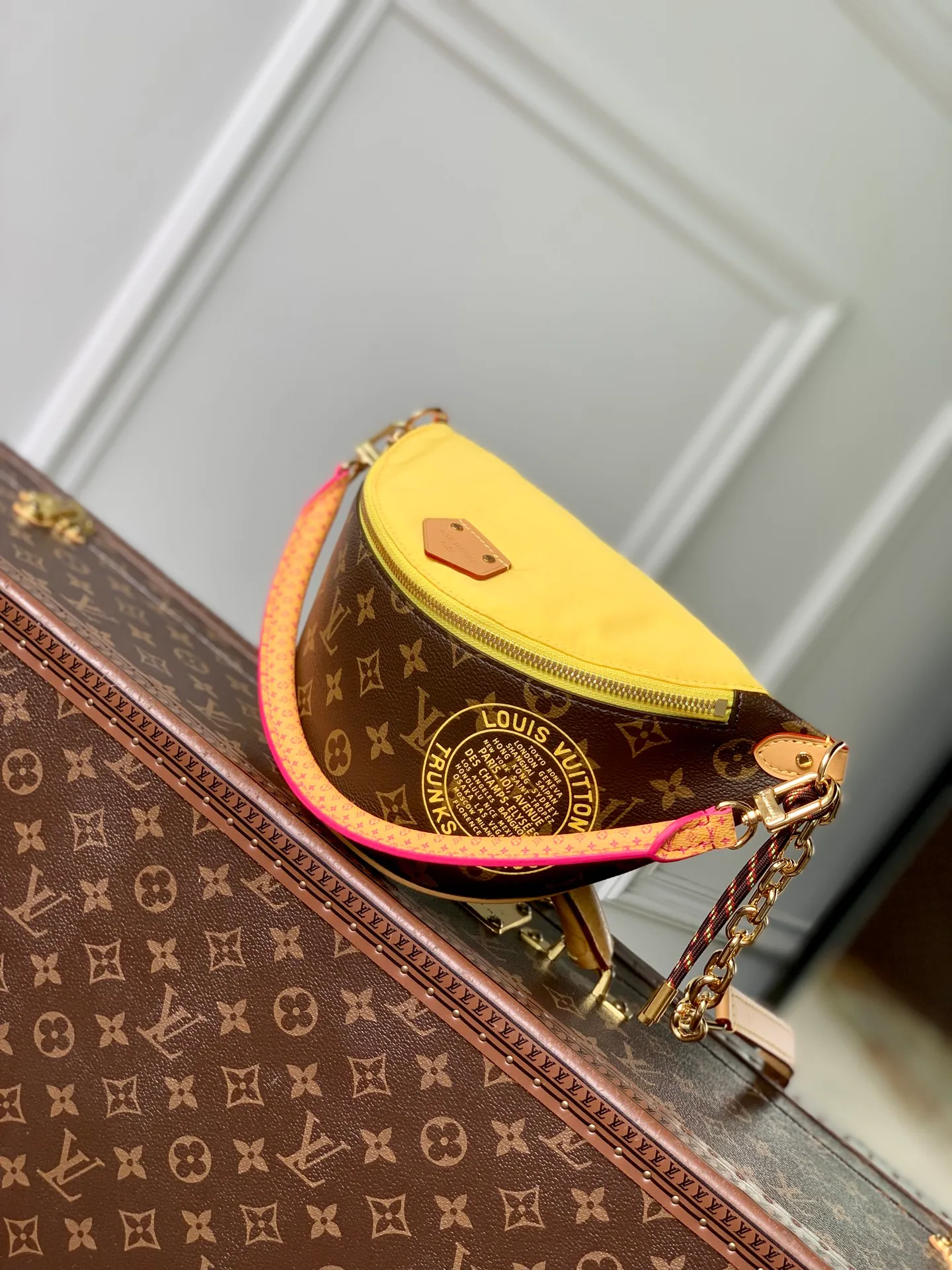 Поясные Сумки Женские Louis Vuitton 13833563