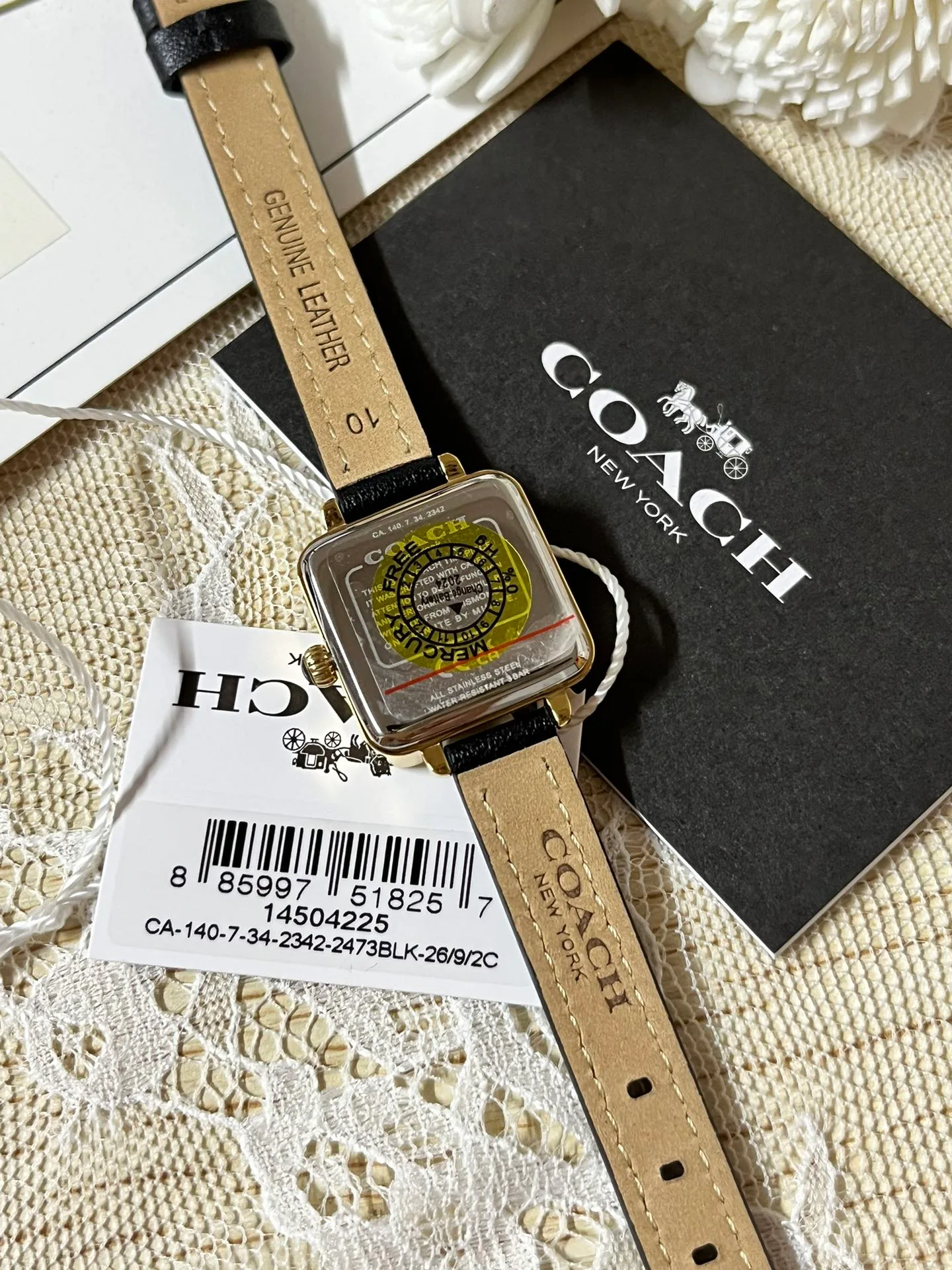 Часы Женские Coach 1288113